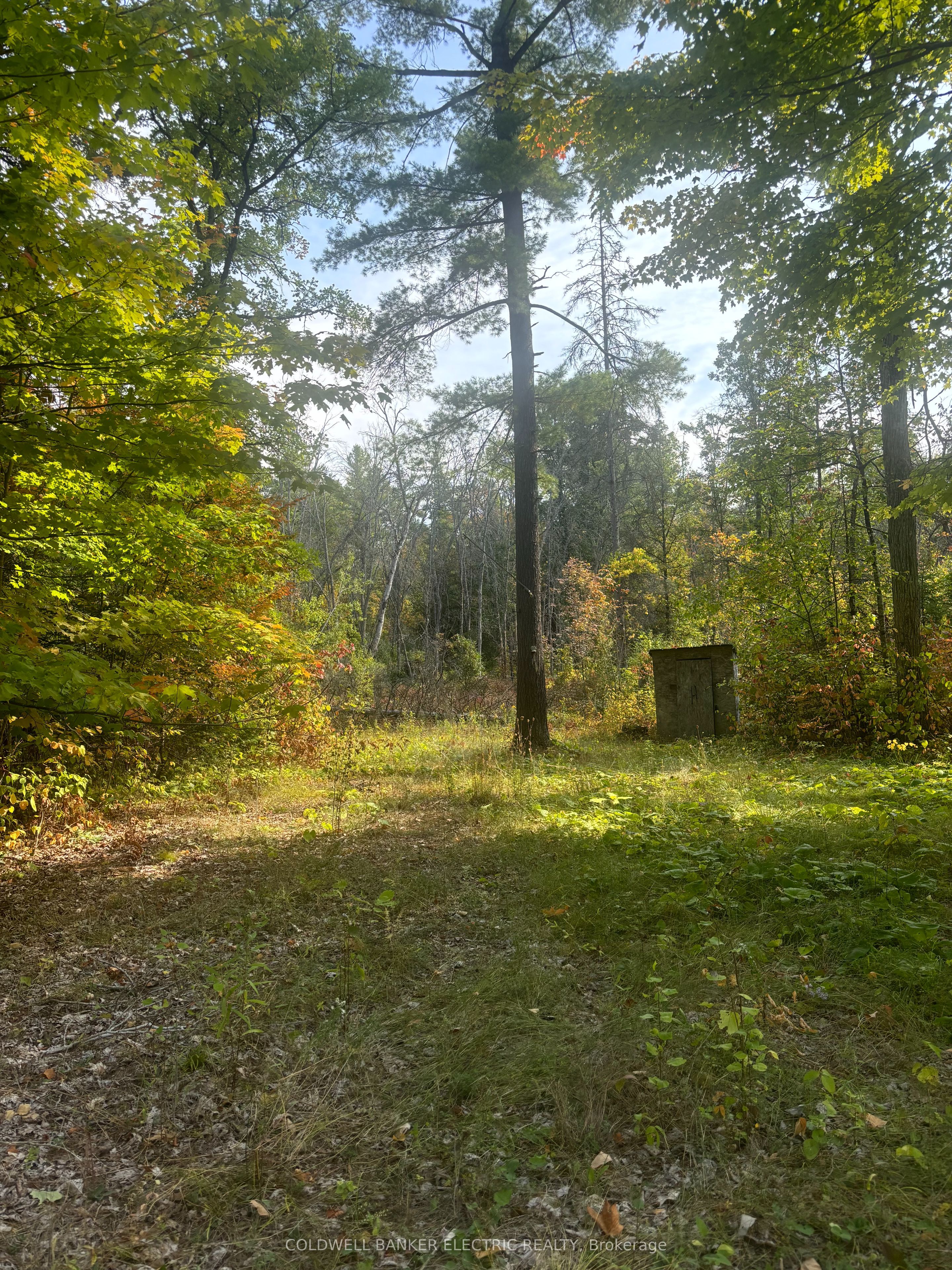 0 Pineview Court Property Photo 1
