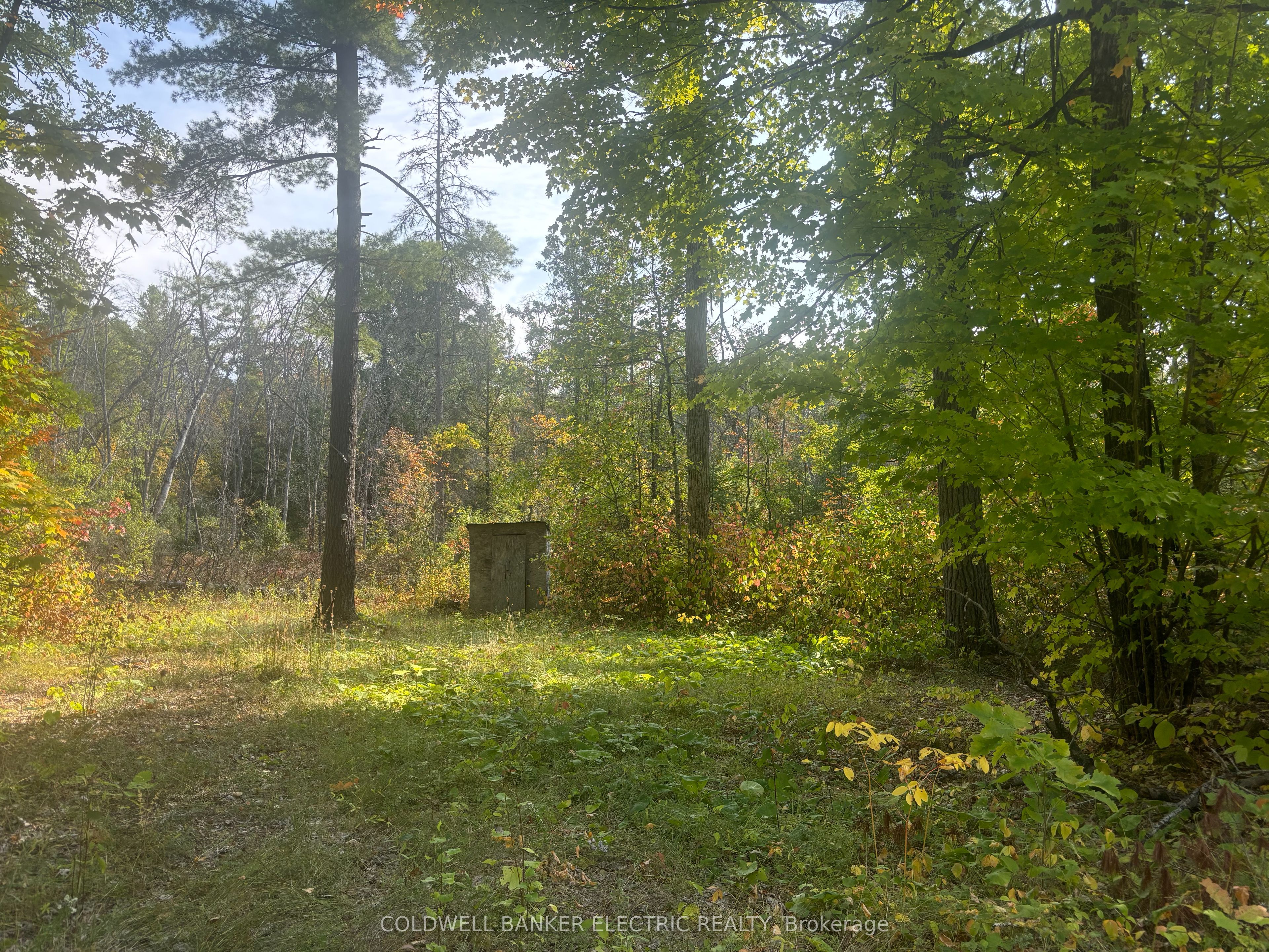 0 Pineview Court Property Photo 2
