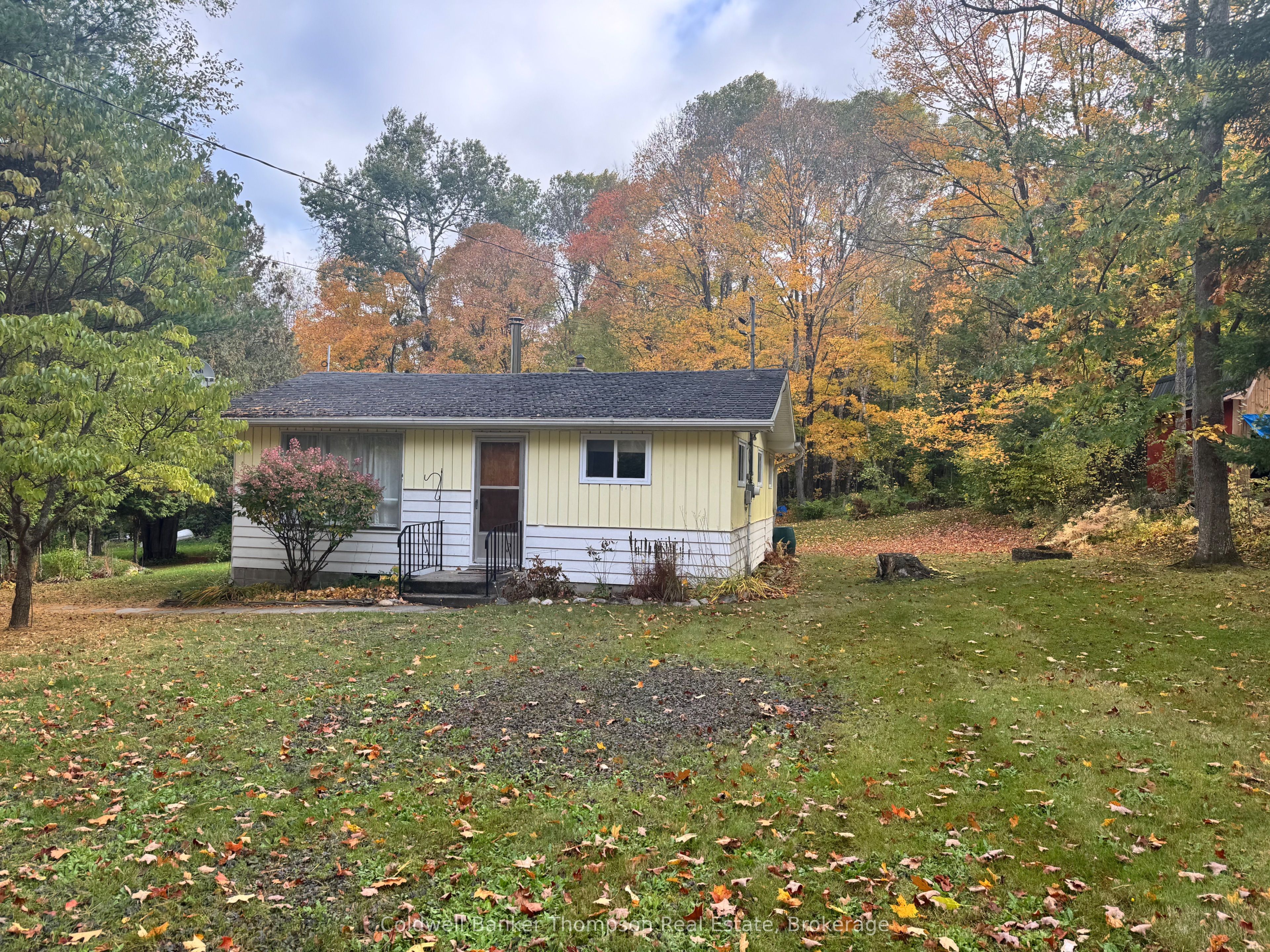 373 Doe Lake Road Property Photo 1