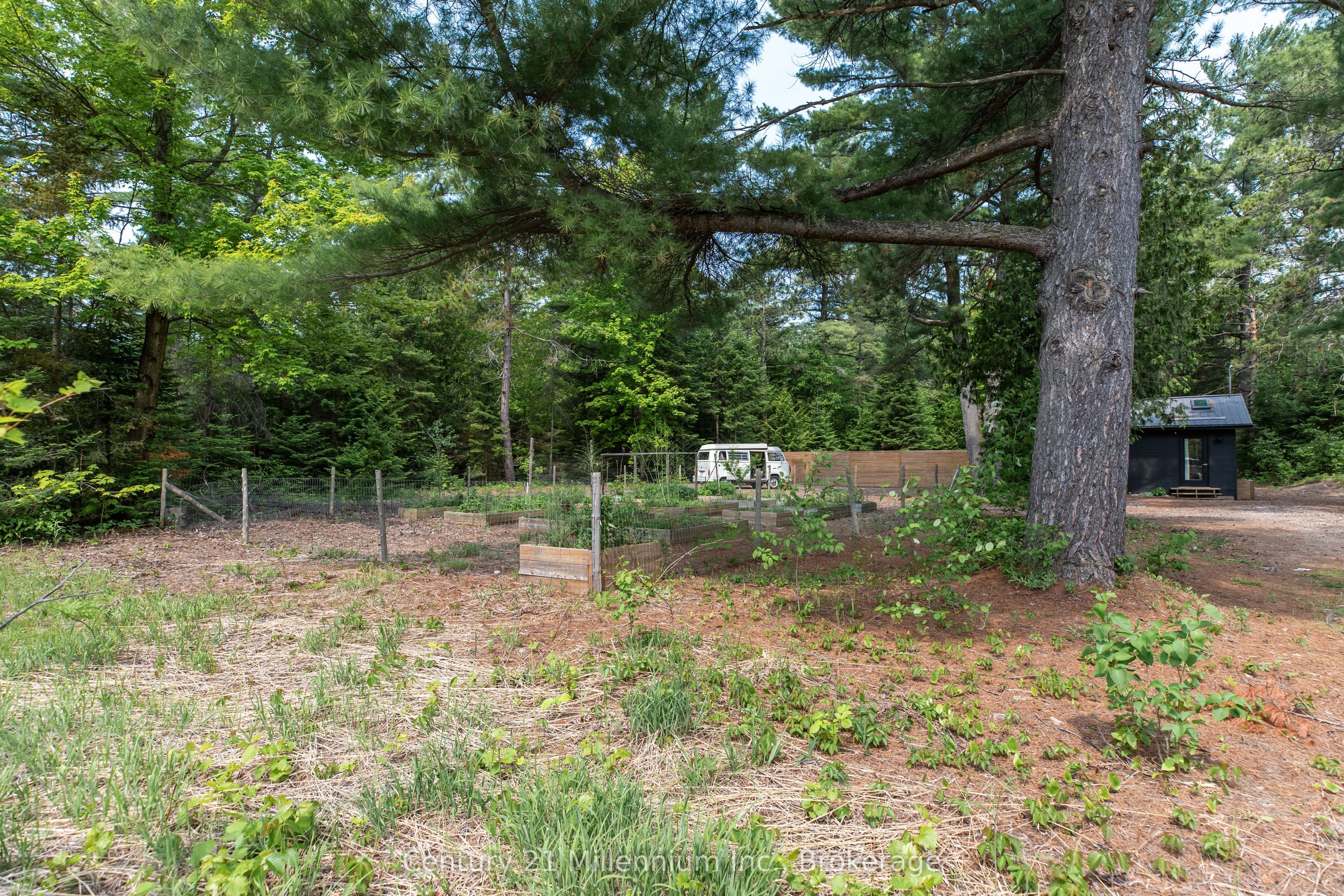 204 Ogimah Road Property Photo 5