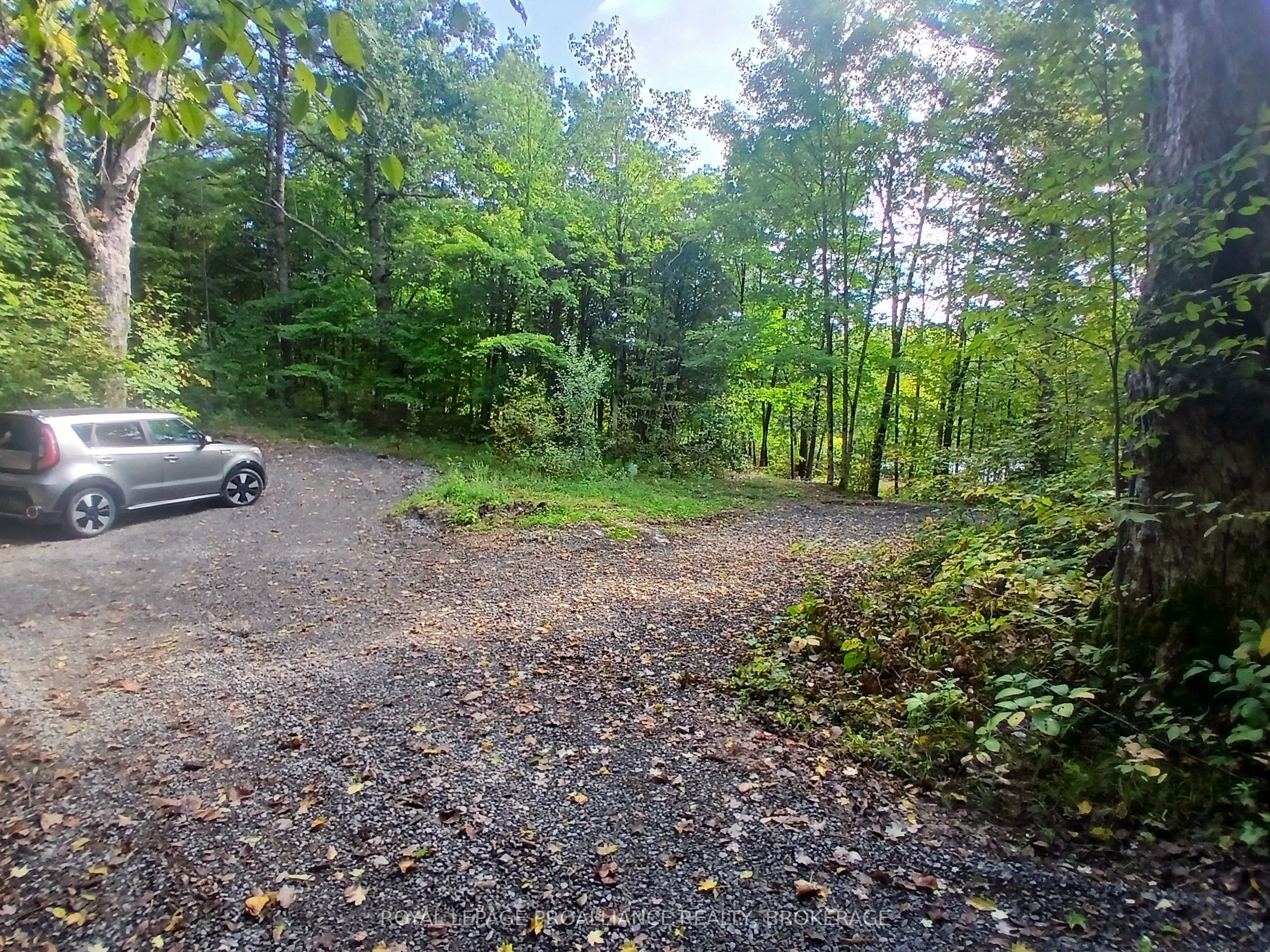 1030 Lodge Lane Property Photo 7