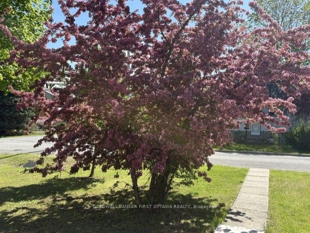 185 Compton Avenue Property Photo 8