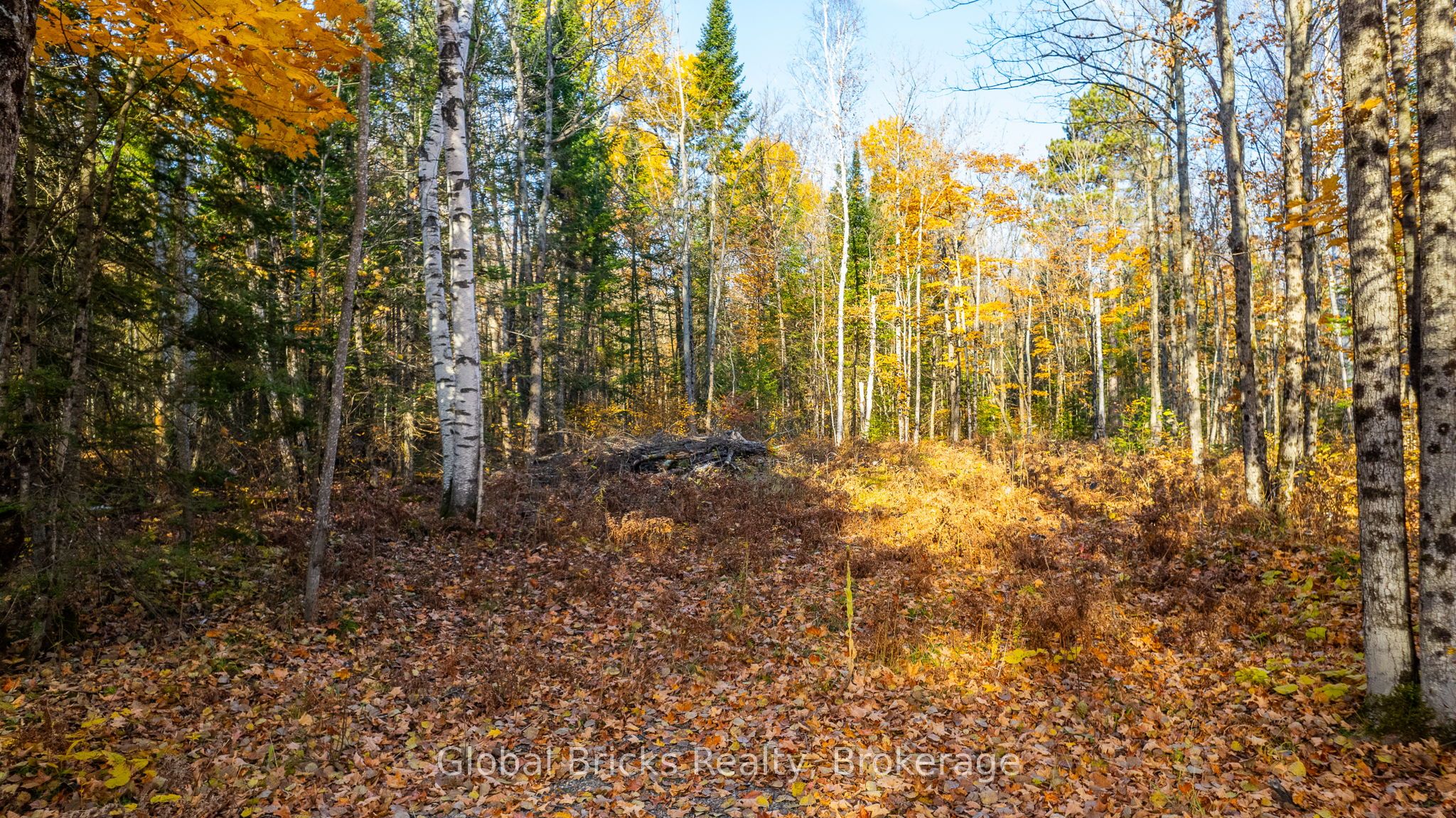 0 Kawagama Lake Road Property Photo 8
