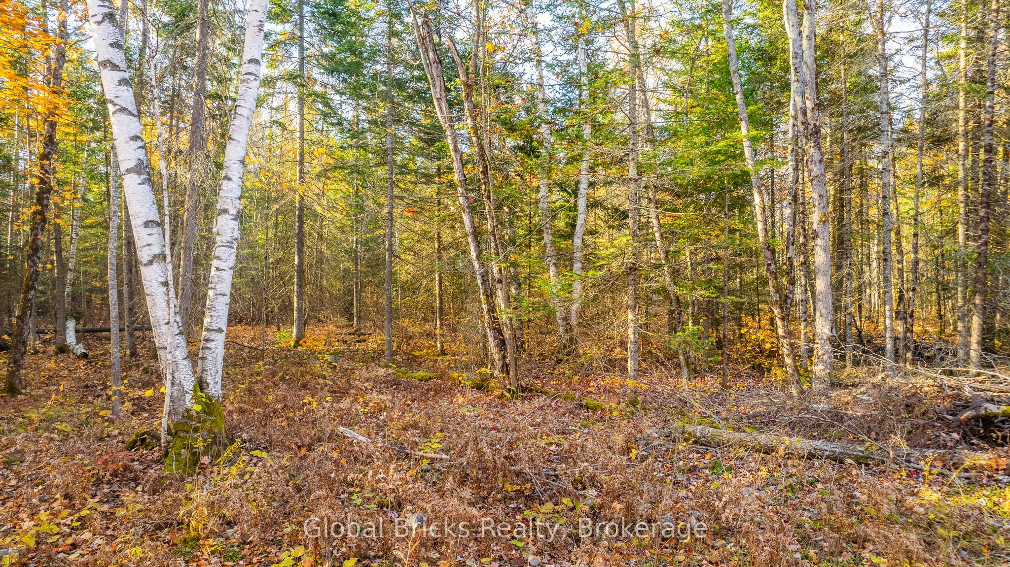 0 Kawagama Lake Road Property Photo 10