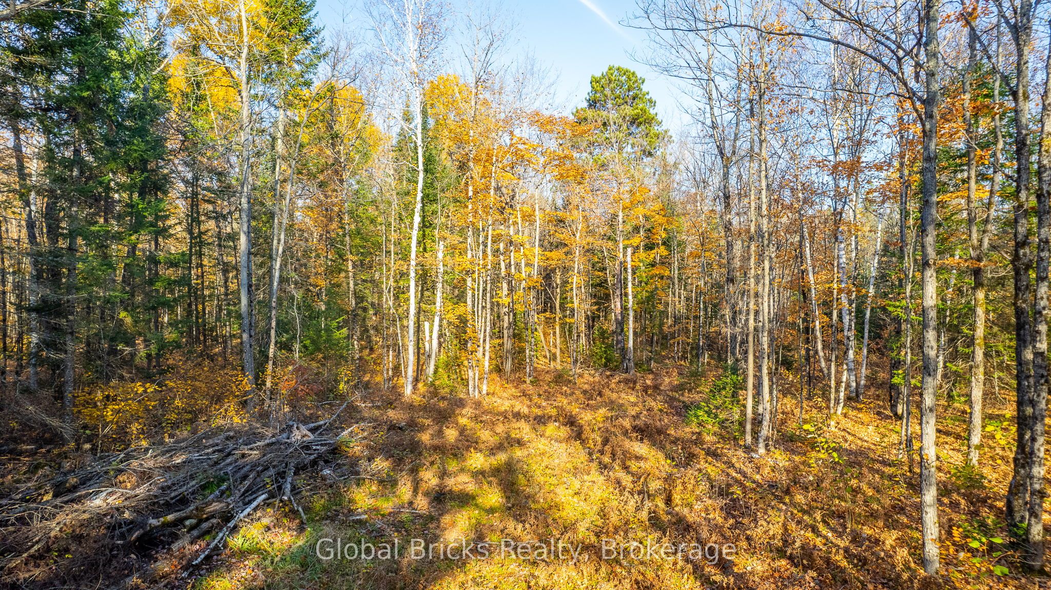 0 Kawagama Lake Road Property Photo 11