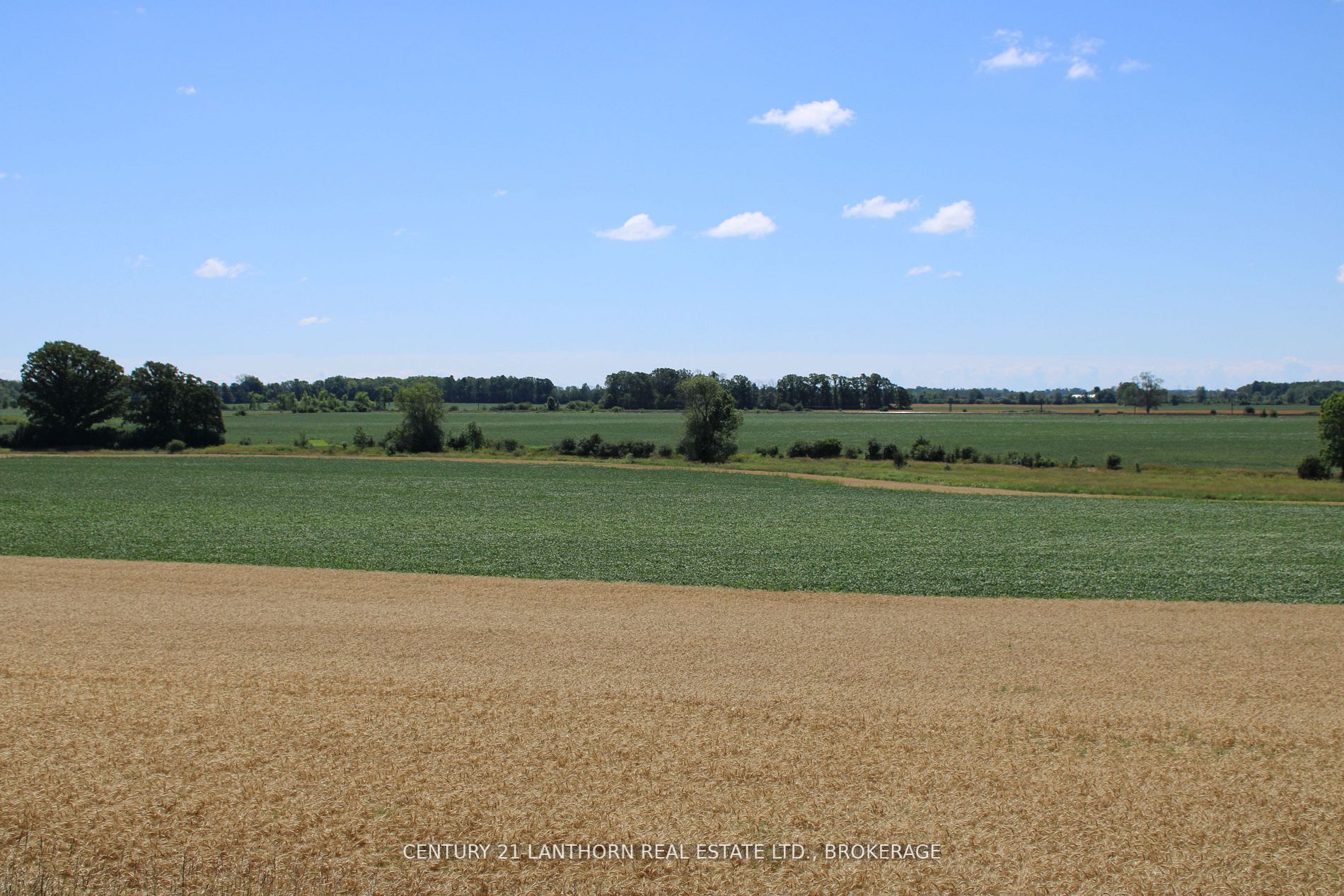 Lt15-16 County Road 1 W Property Photo 3