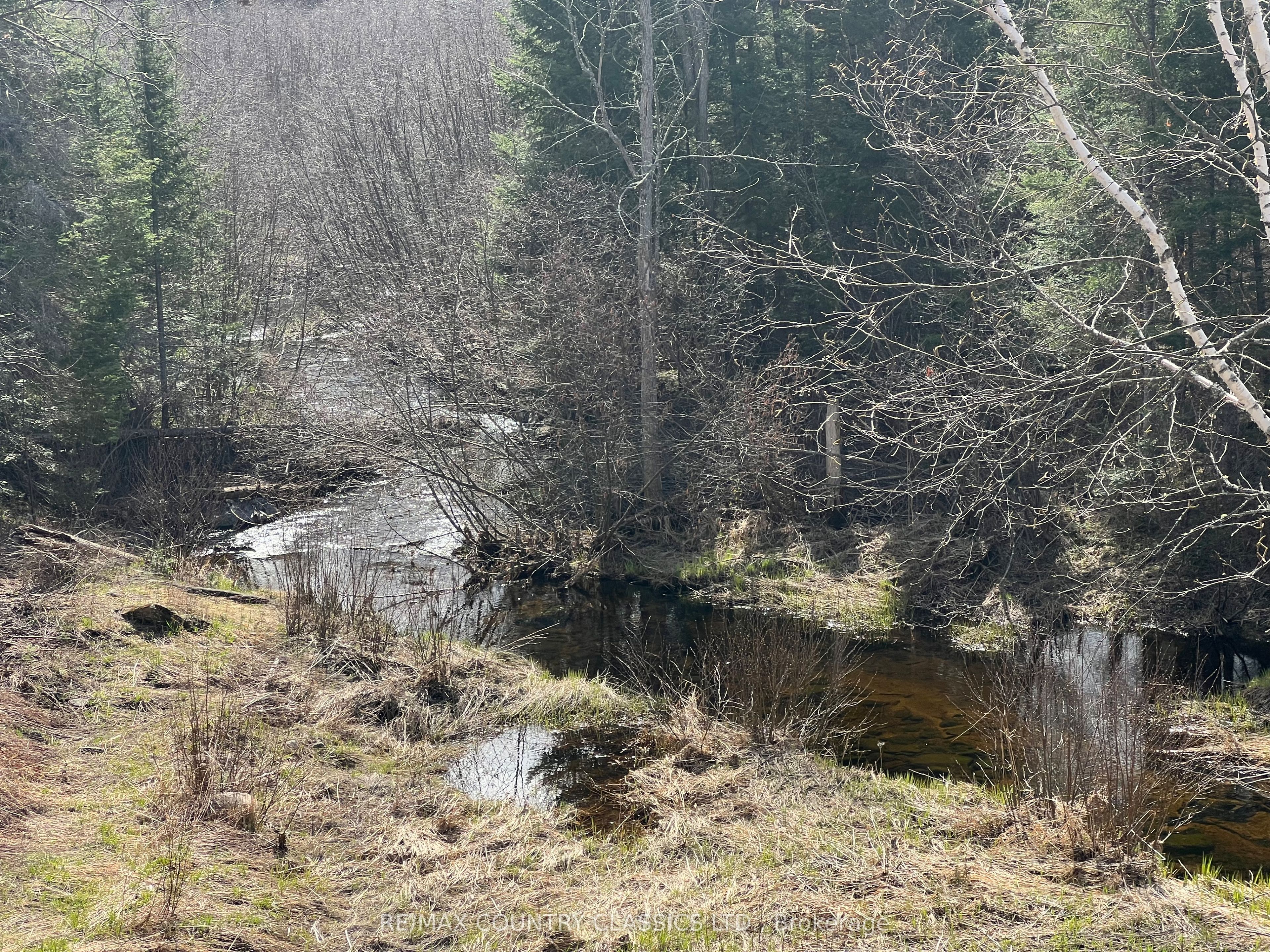 634 Lower Turriff Road Property Photo 4