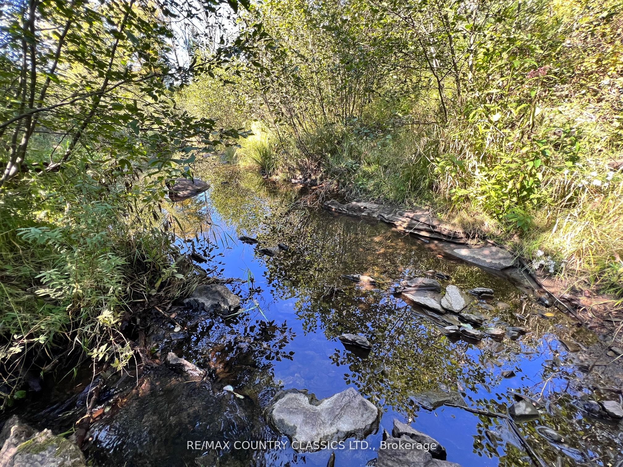 634 Lower Turriff Road Property Photo 11
