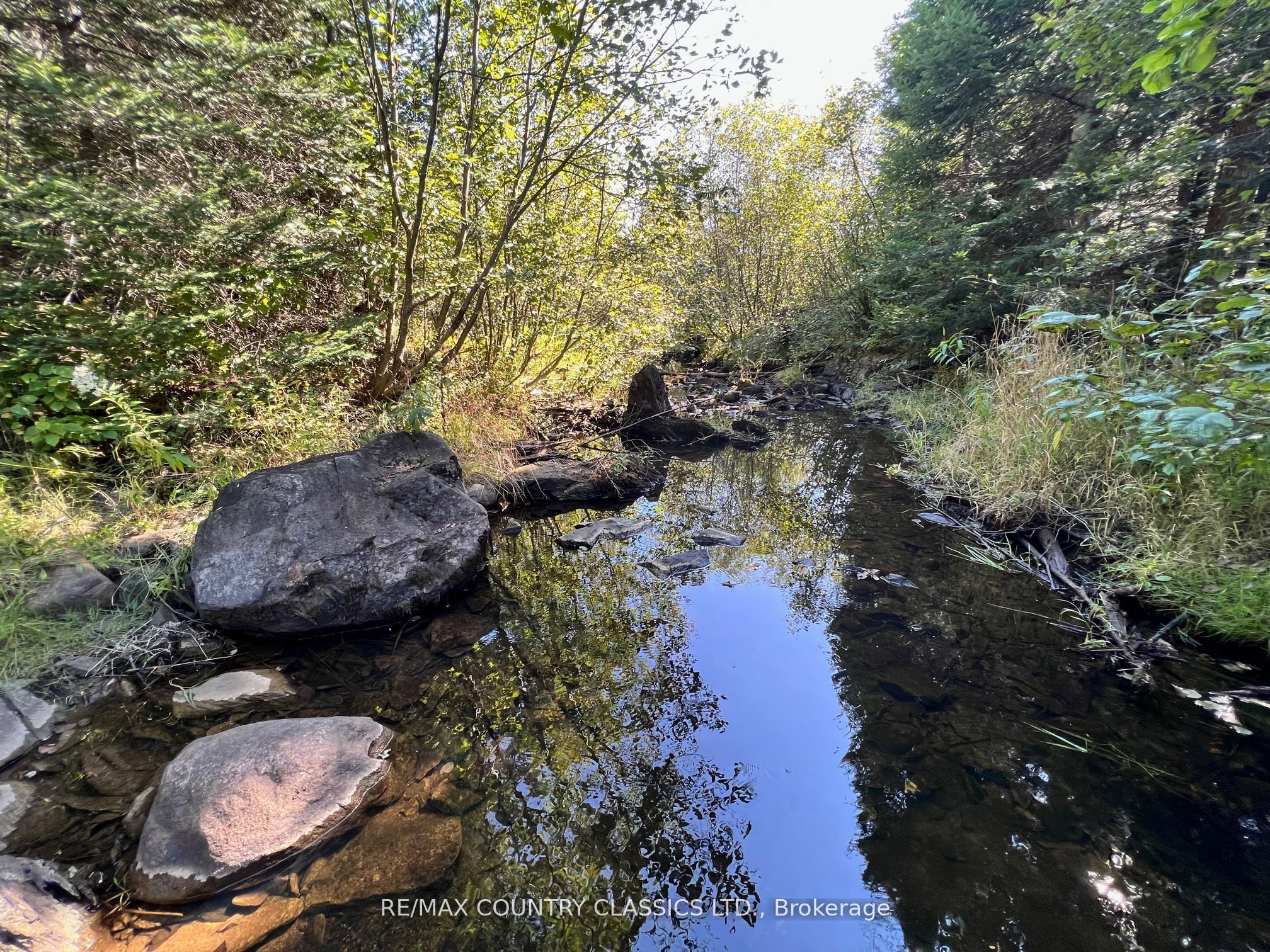 634 Lower Turriff Road Property Photo 12