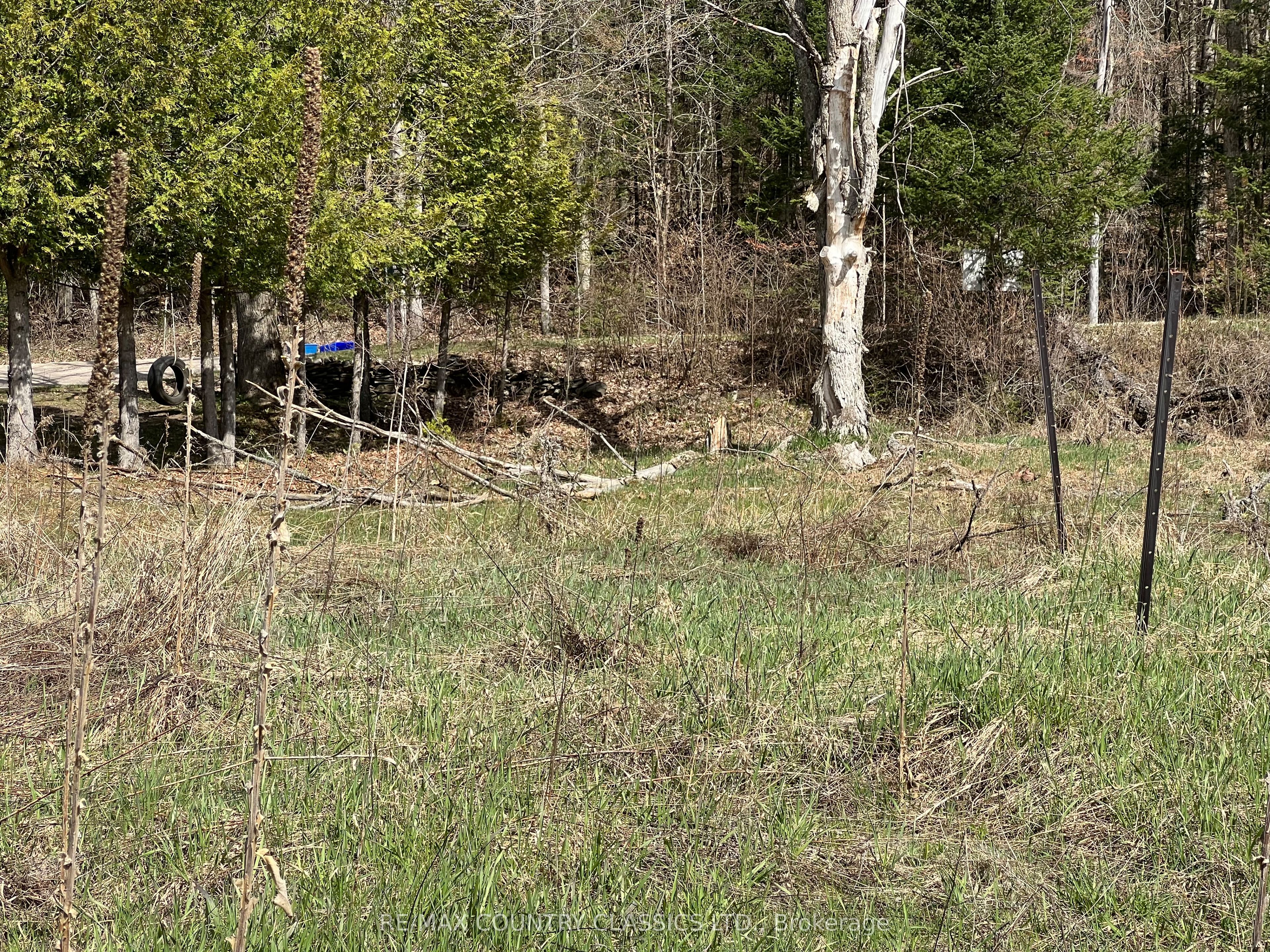 634 Lower Turriff Road Property Photo 30