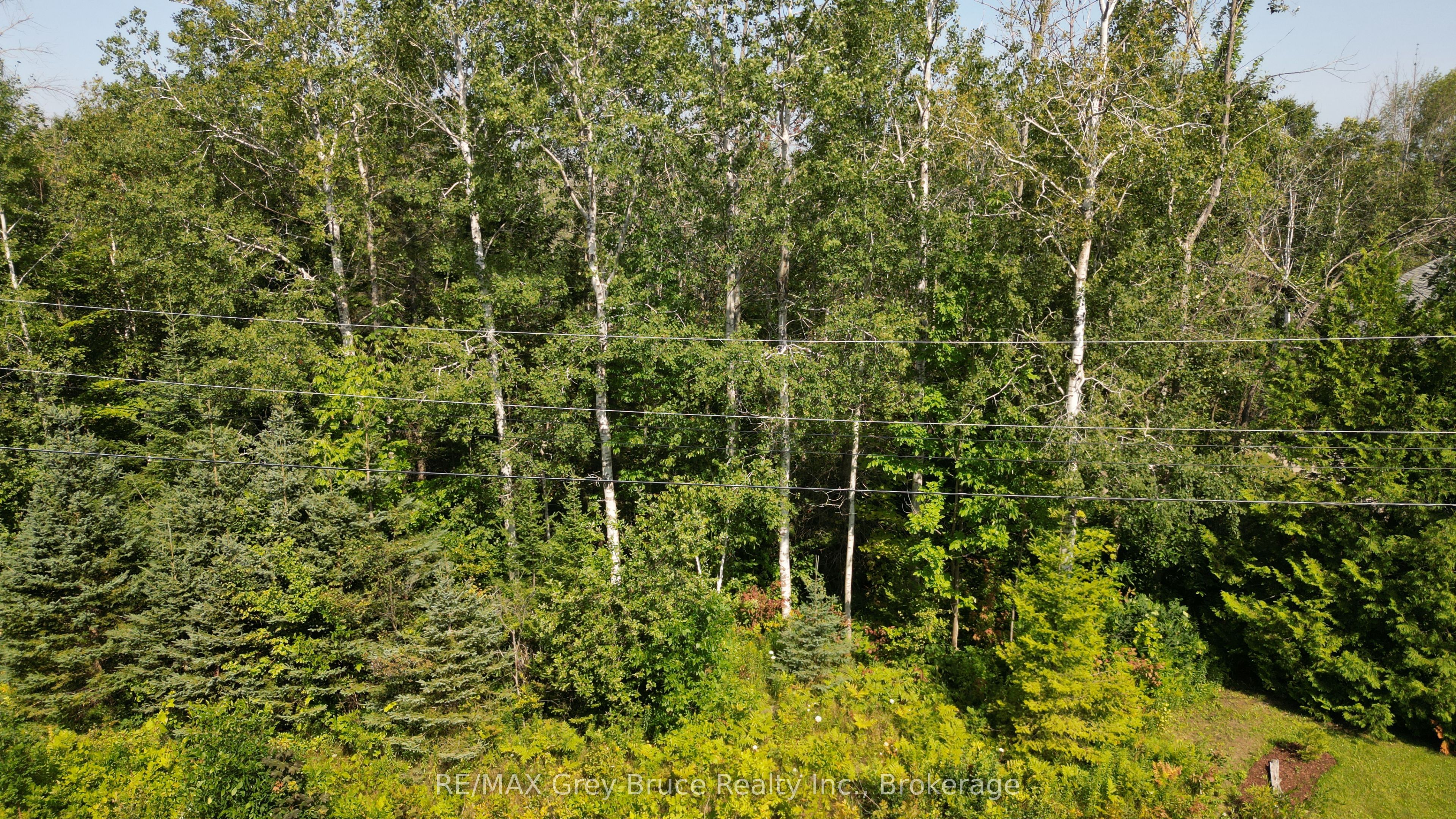 127 Maple Drive Property Photo 2