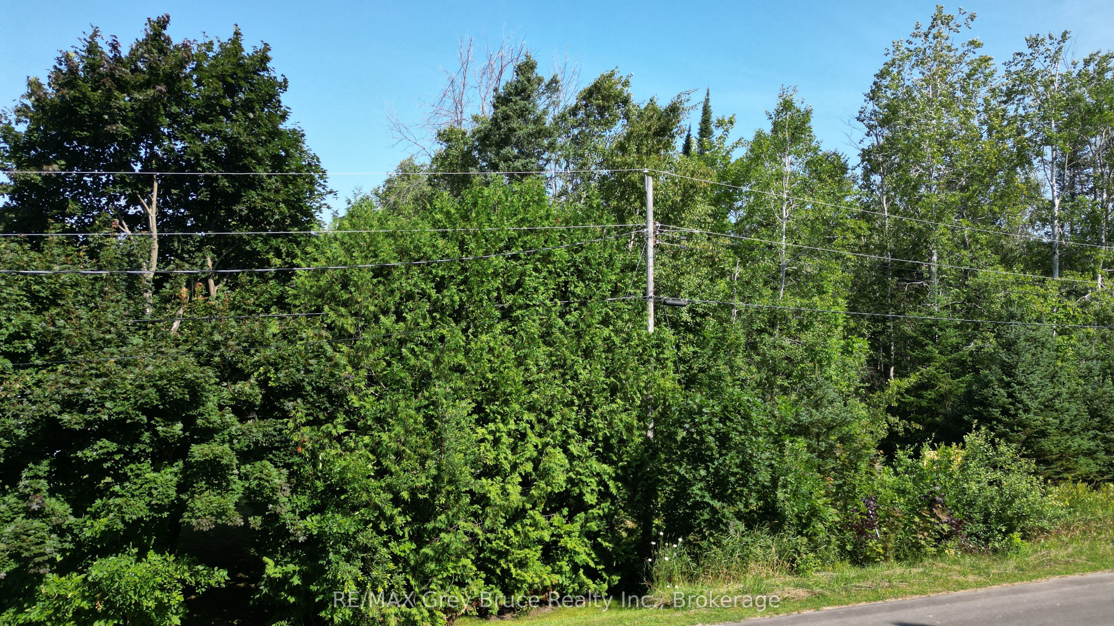 127 Maple Drive Property Photo 9