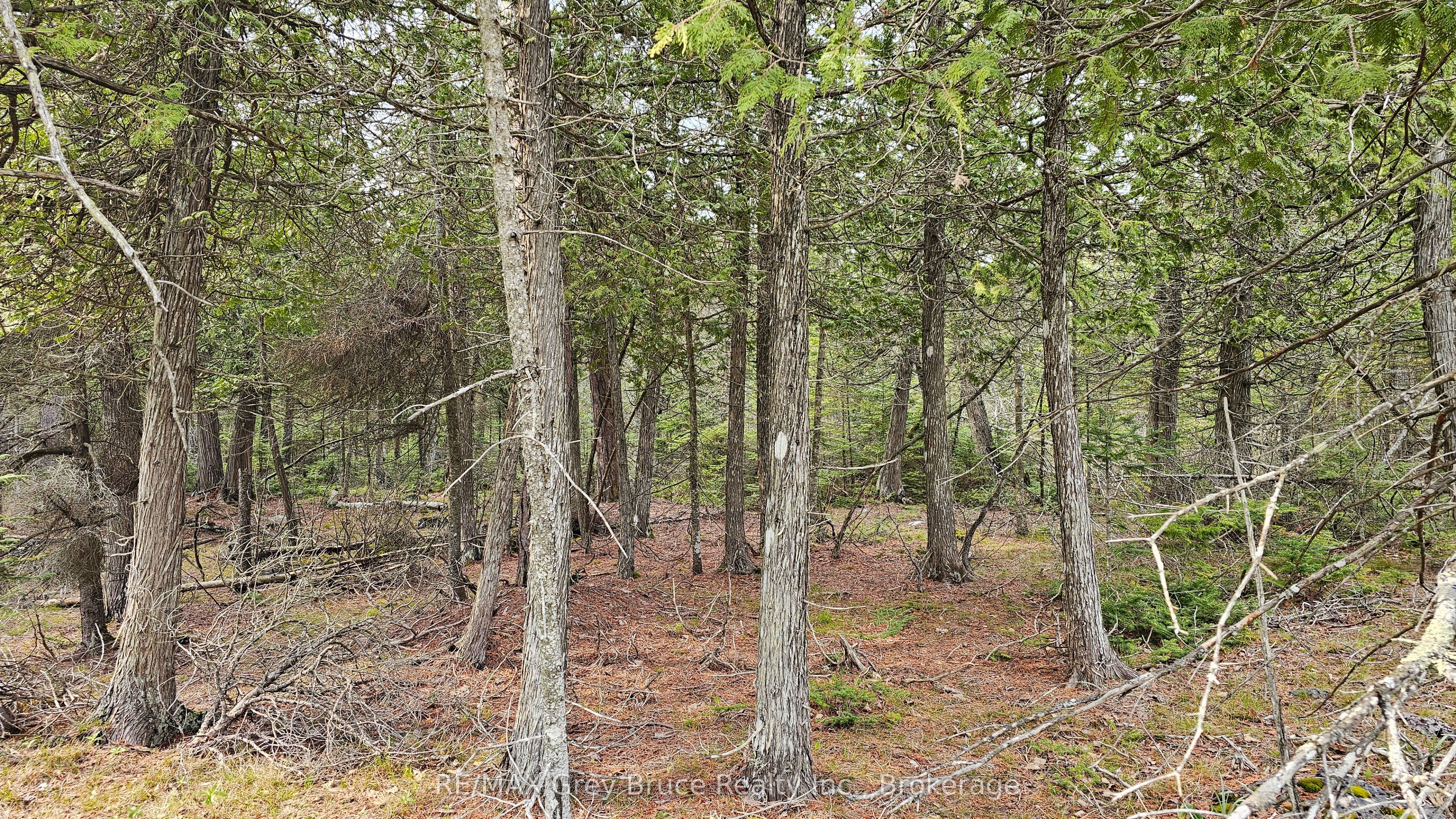 Lt 255 Pedwell Pt. Drive Property Photo 3