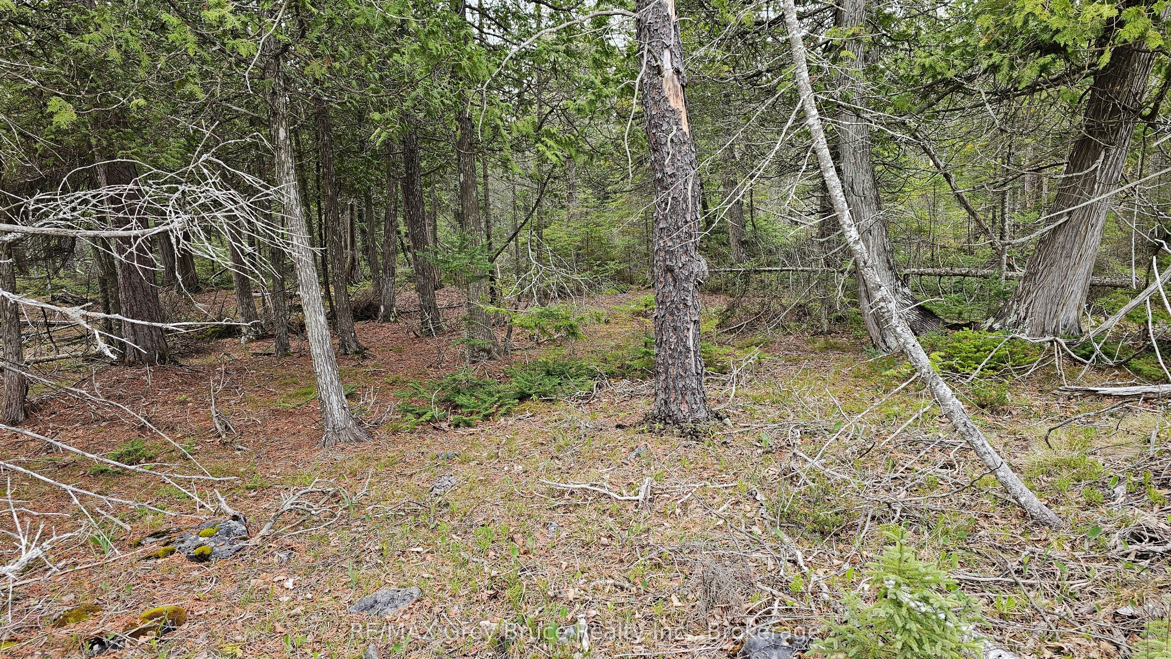Lt 255 Pedwell Pt. Drive Property Photo 5