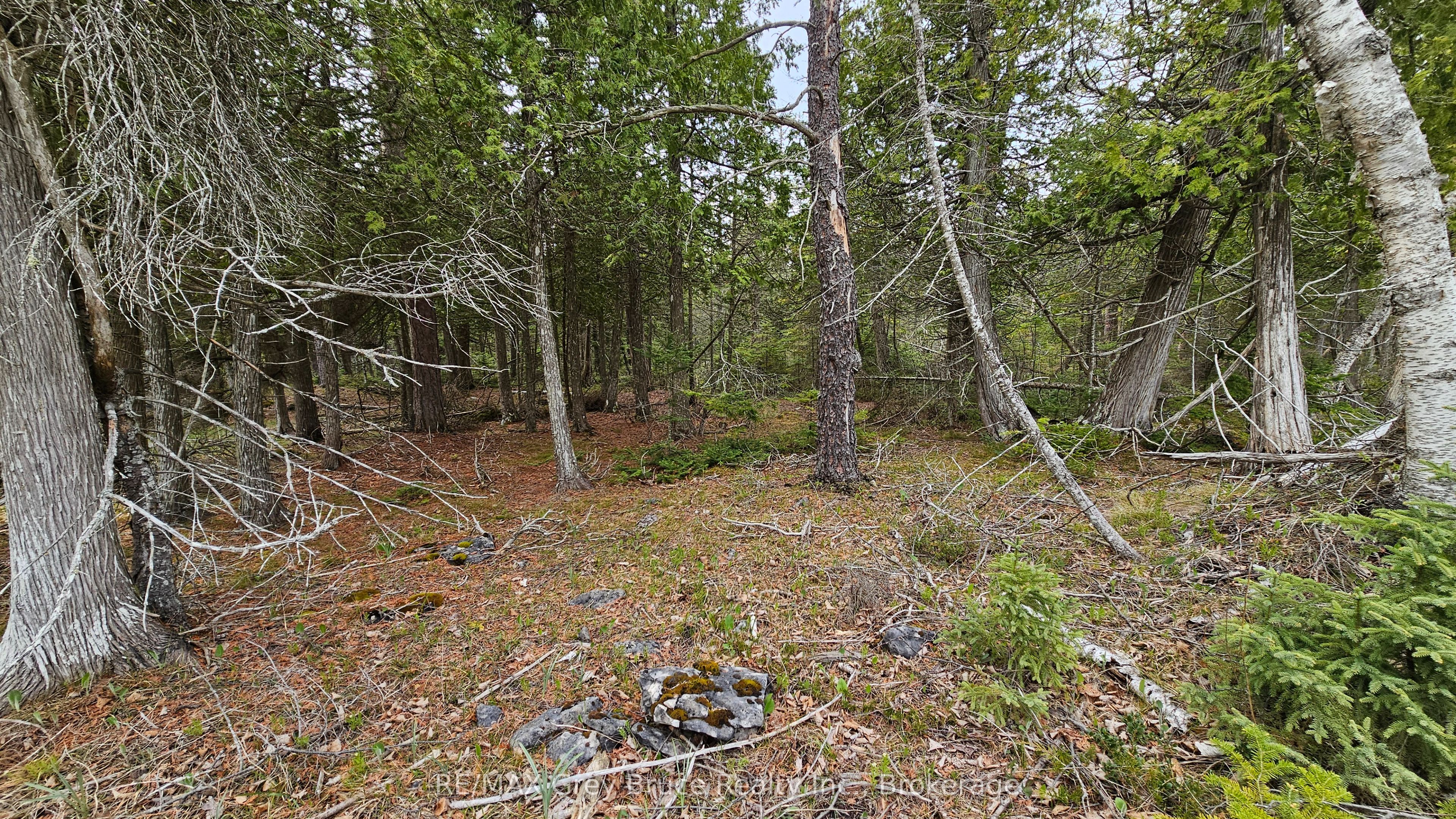 Lt 255 Pedwell Pt. Drive Property Photo 6