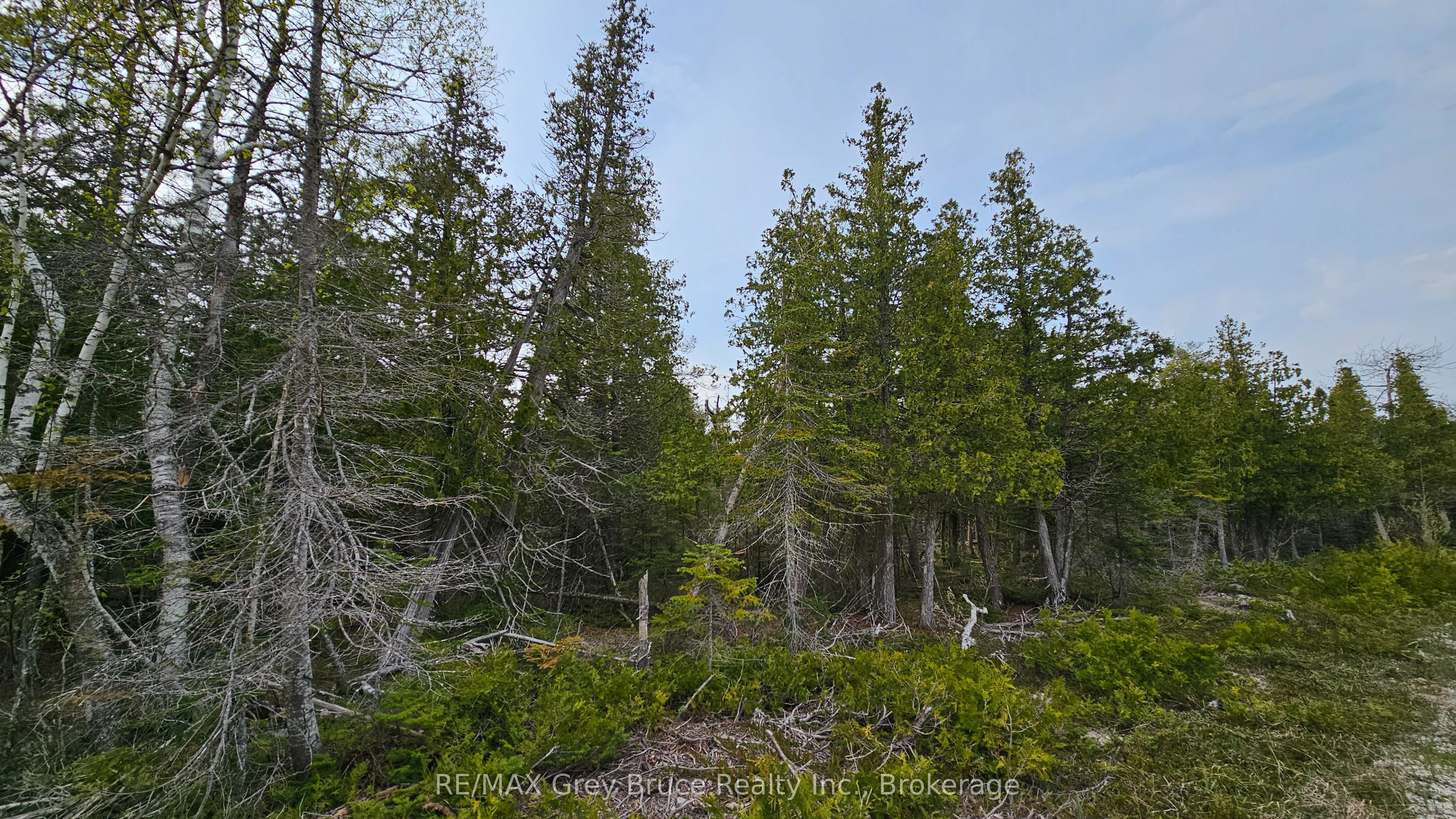 Lt 255 Pedwell Pt. Drive Property Photo 7