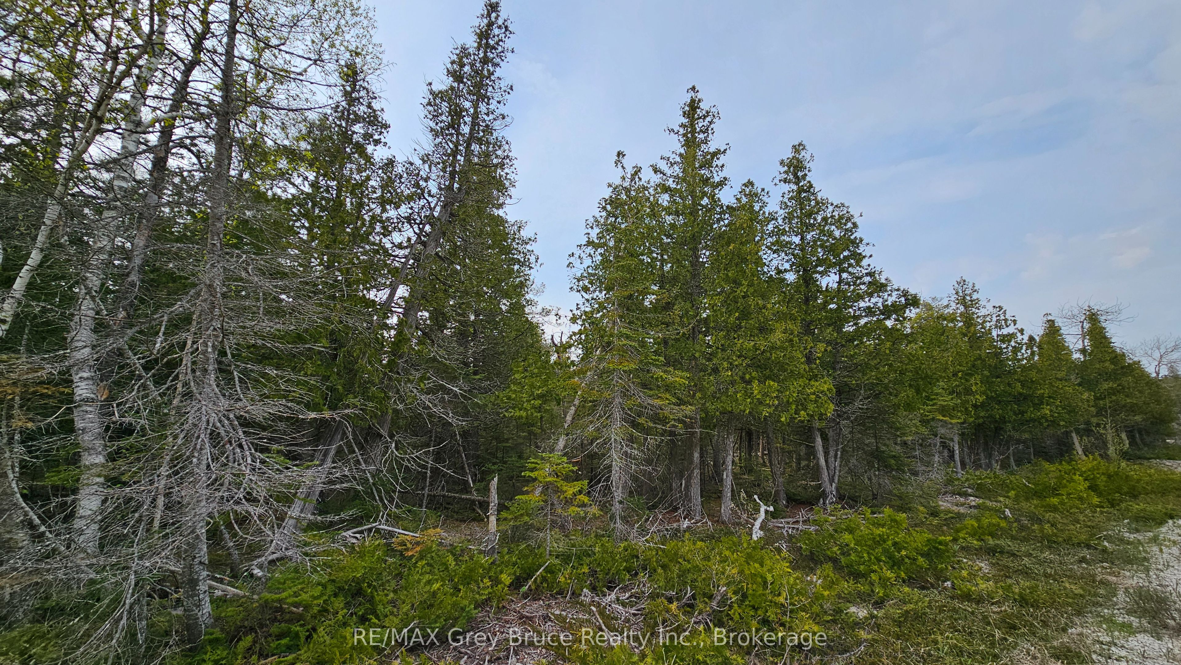 Lt 255 Pedwell Pt. Drive Property Photo 8
