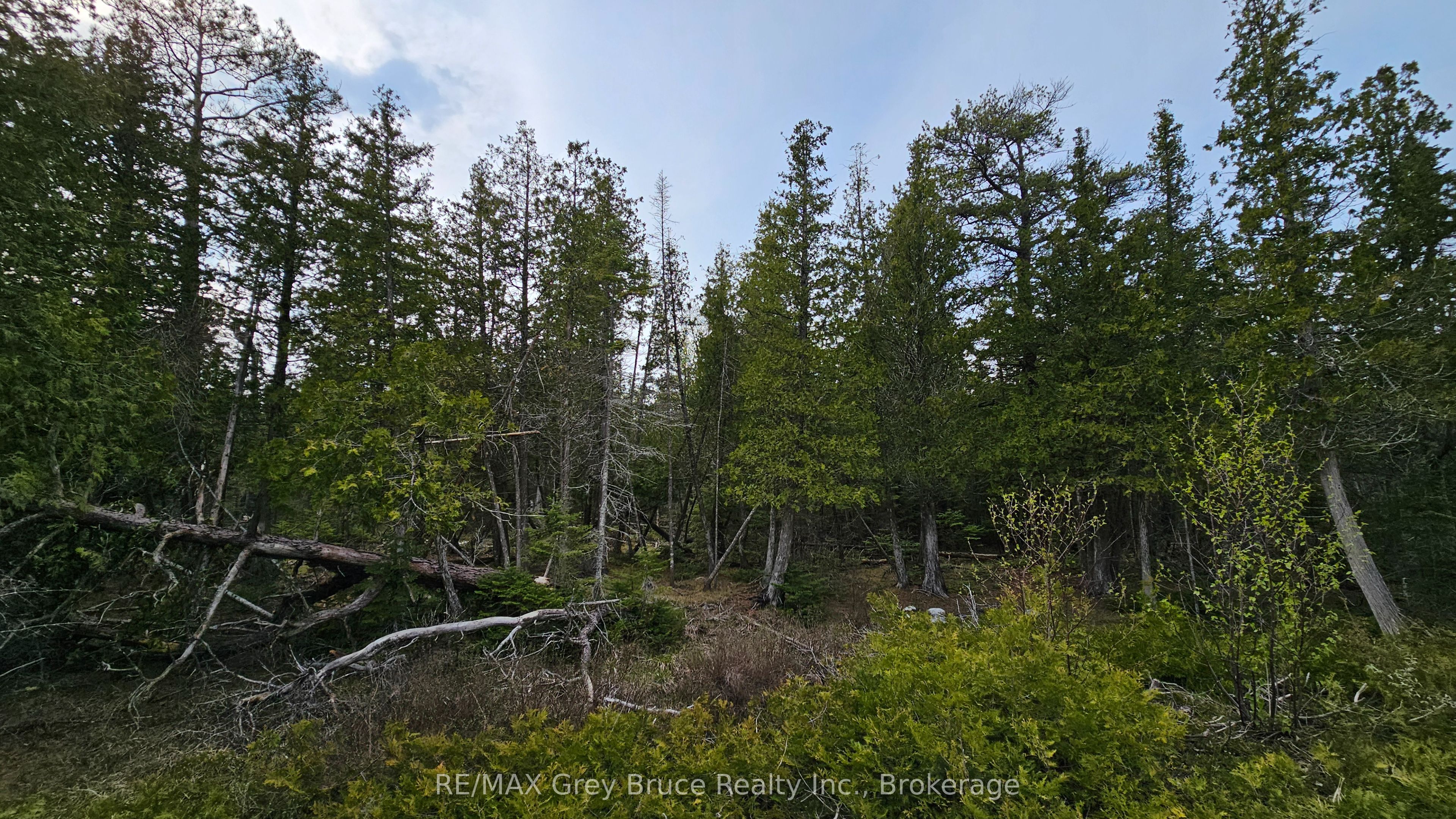 Lt 255 Pedwell Pt. Drive Property Photo 10