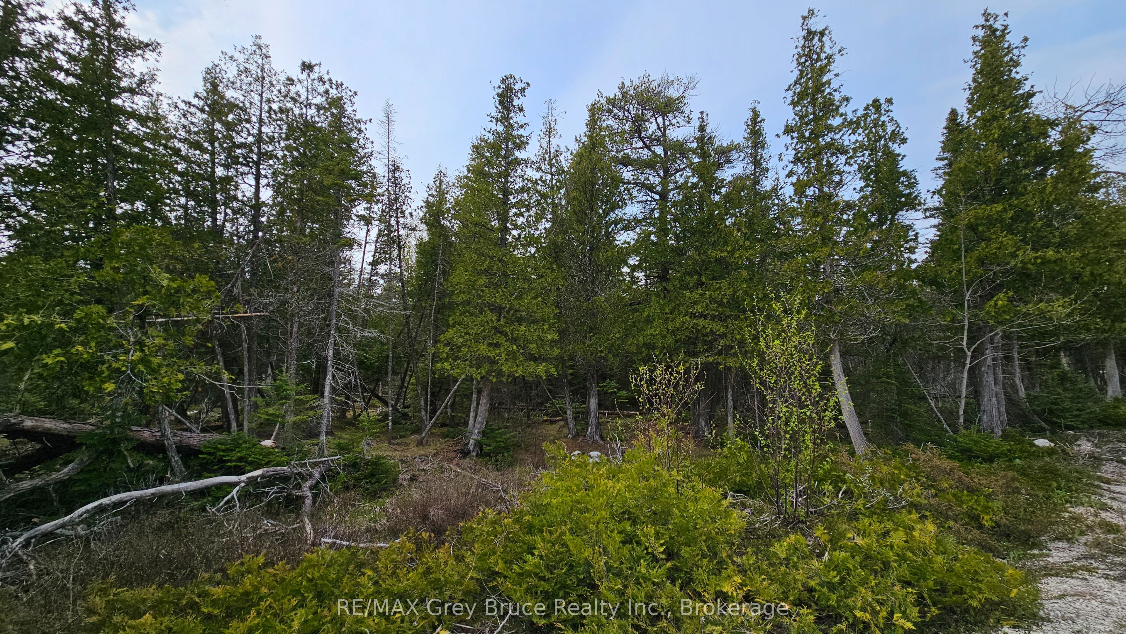 Lt 255 Pedwell Pt. Drive Property Photo 11