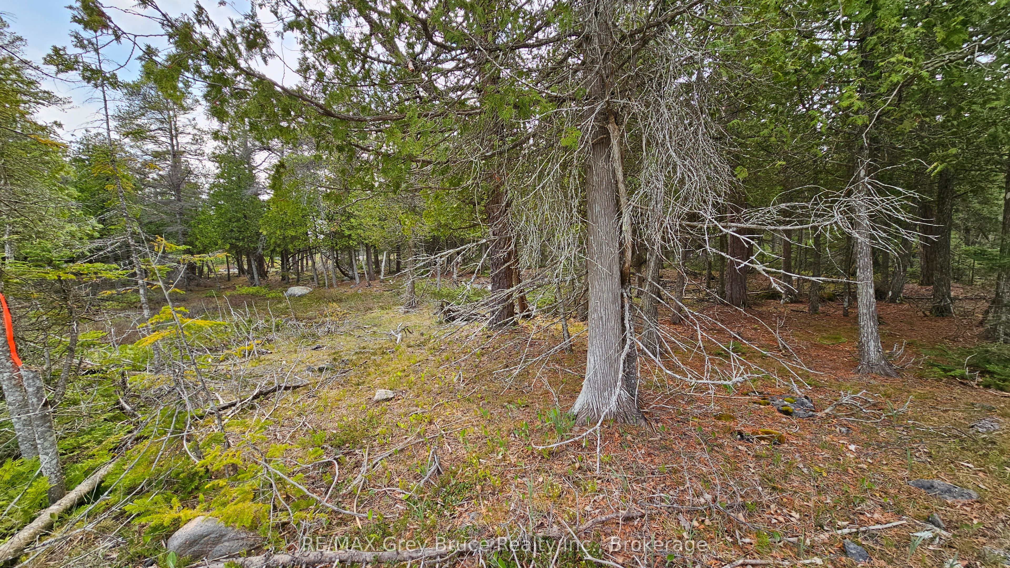 Lt 255 Pedwell Pt. Drive Property Photo 12