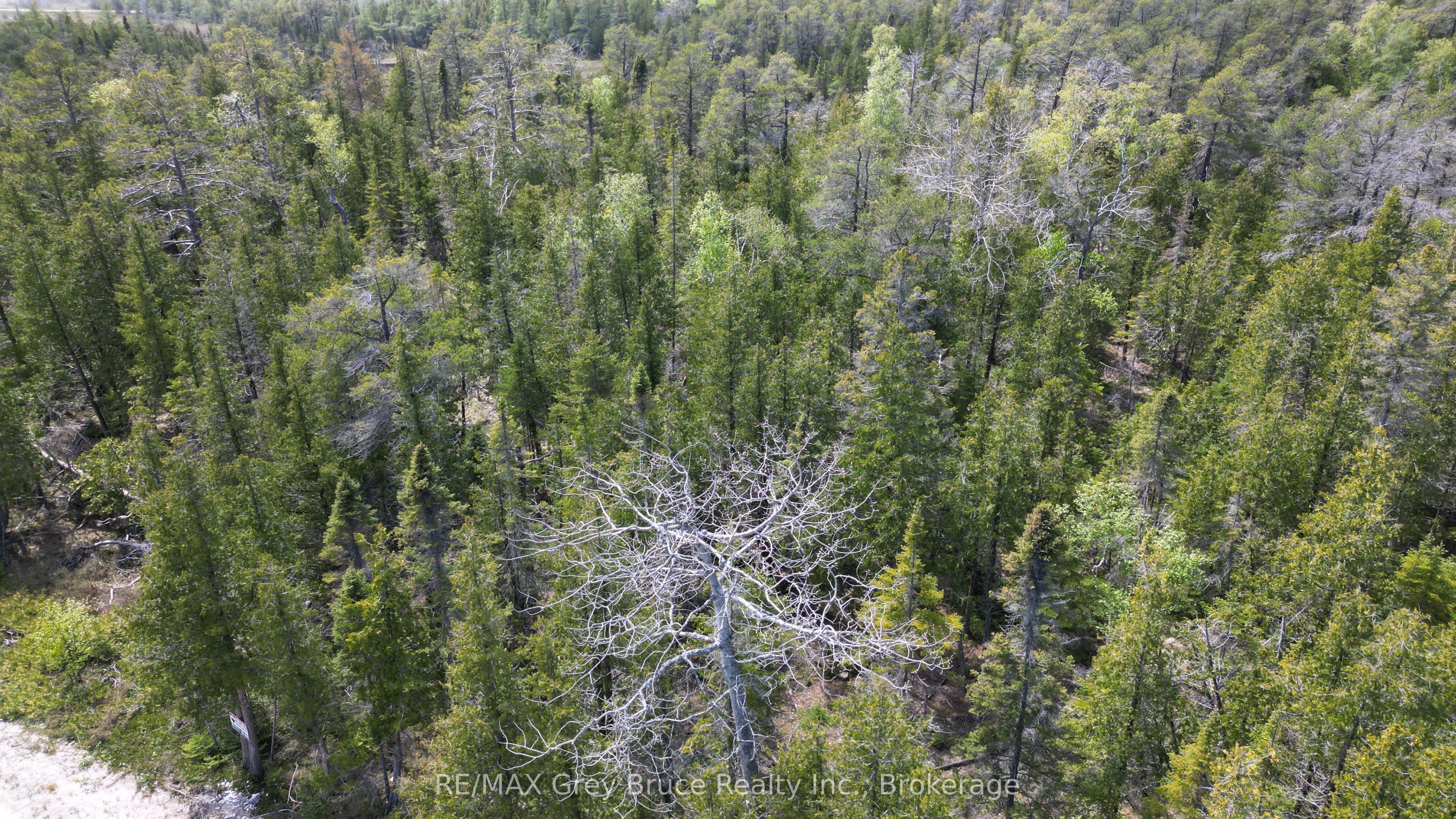 Lt 255 Pedwell Pt. Drive Property Photo 17