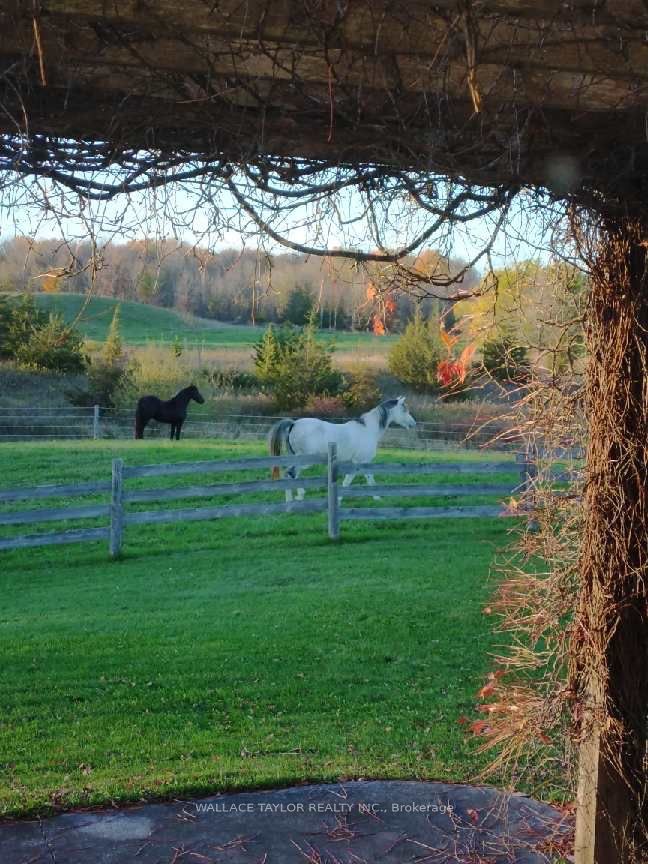 524 Hoover Road Property Photo 25