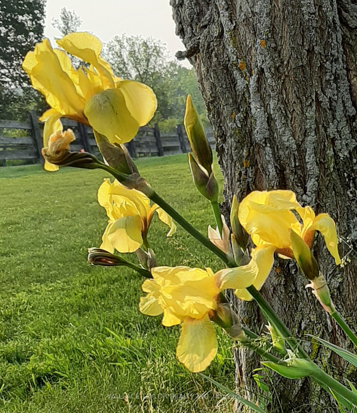 524 Hoover Road Property Photo 28