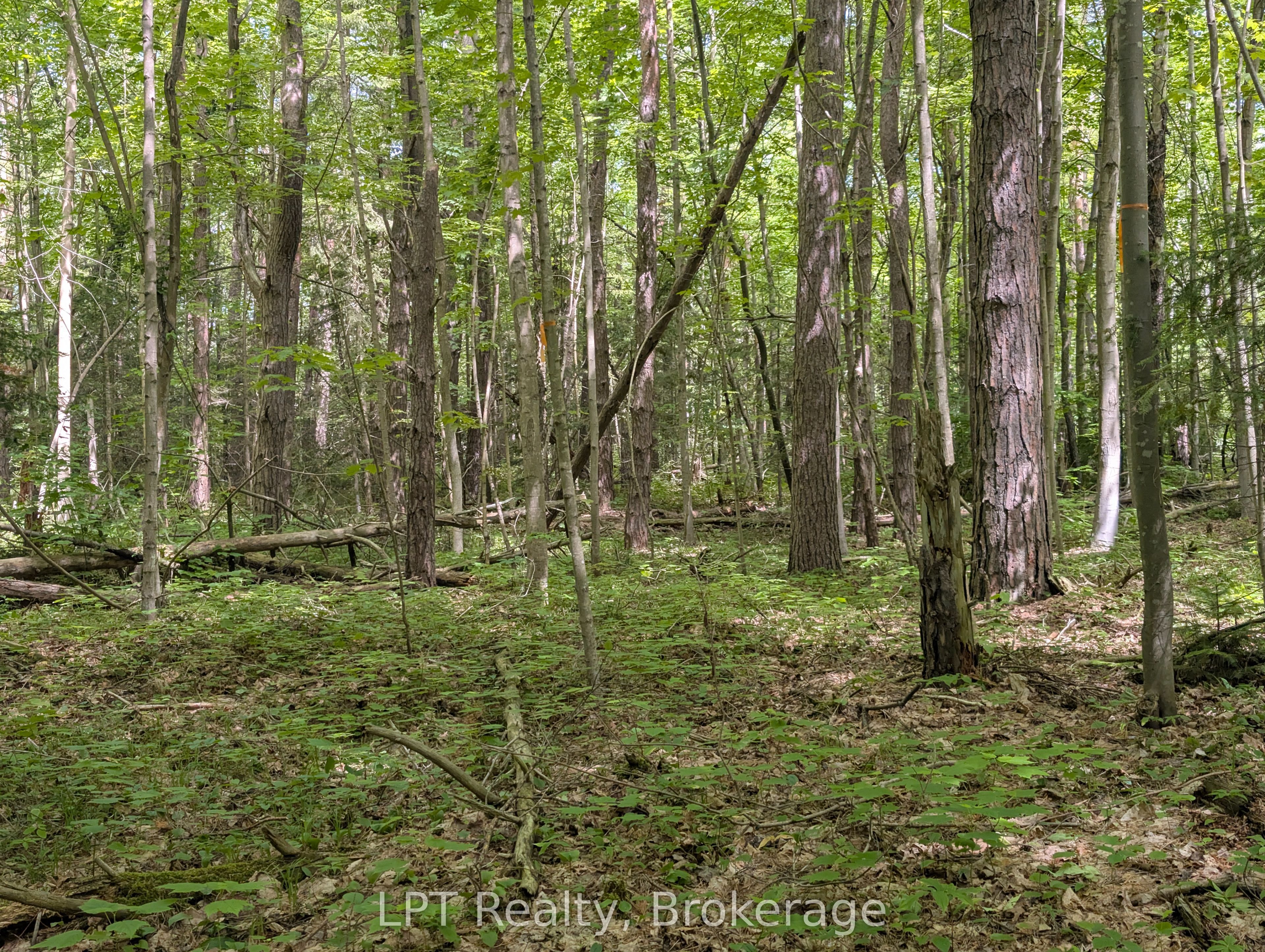590-608 Huron Road Property Photo 6