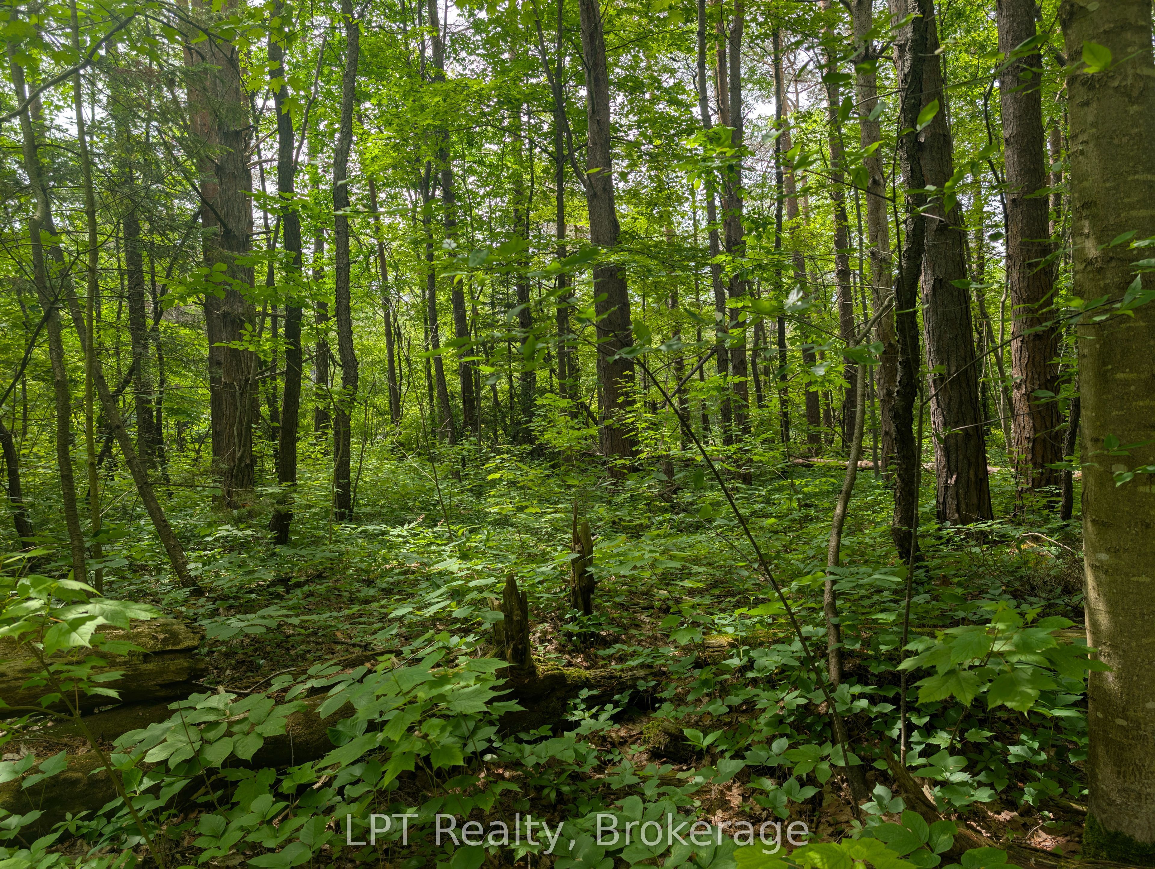 590-608 Huron Road Property Photo 8