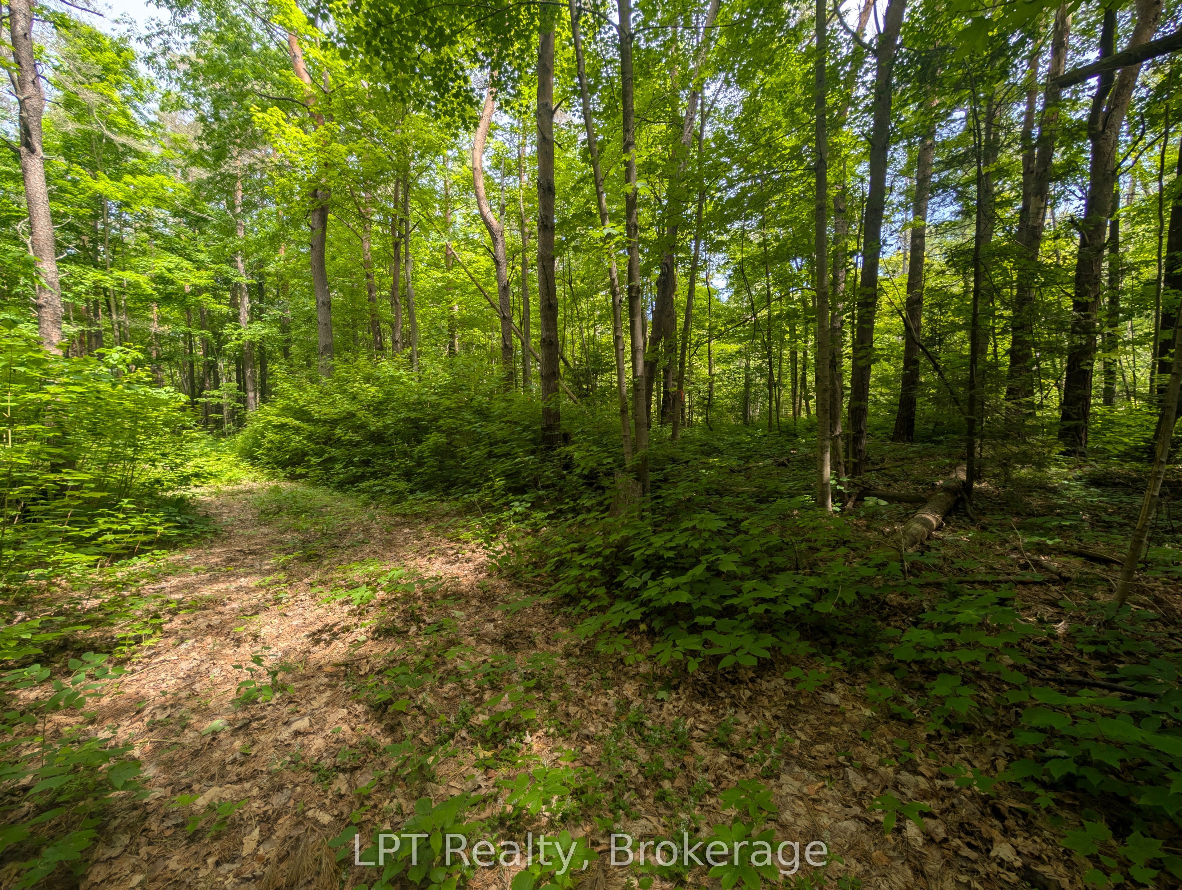 590-608 Huron Road Property Photo 14