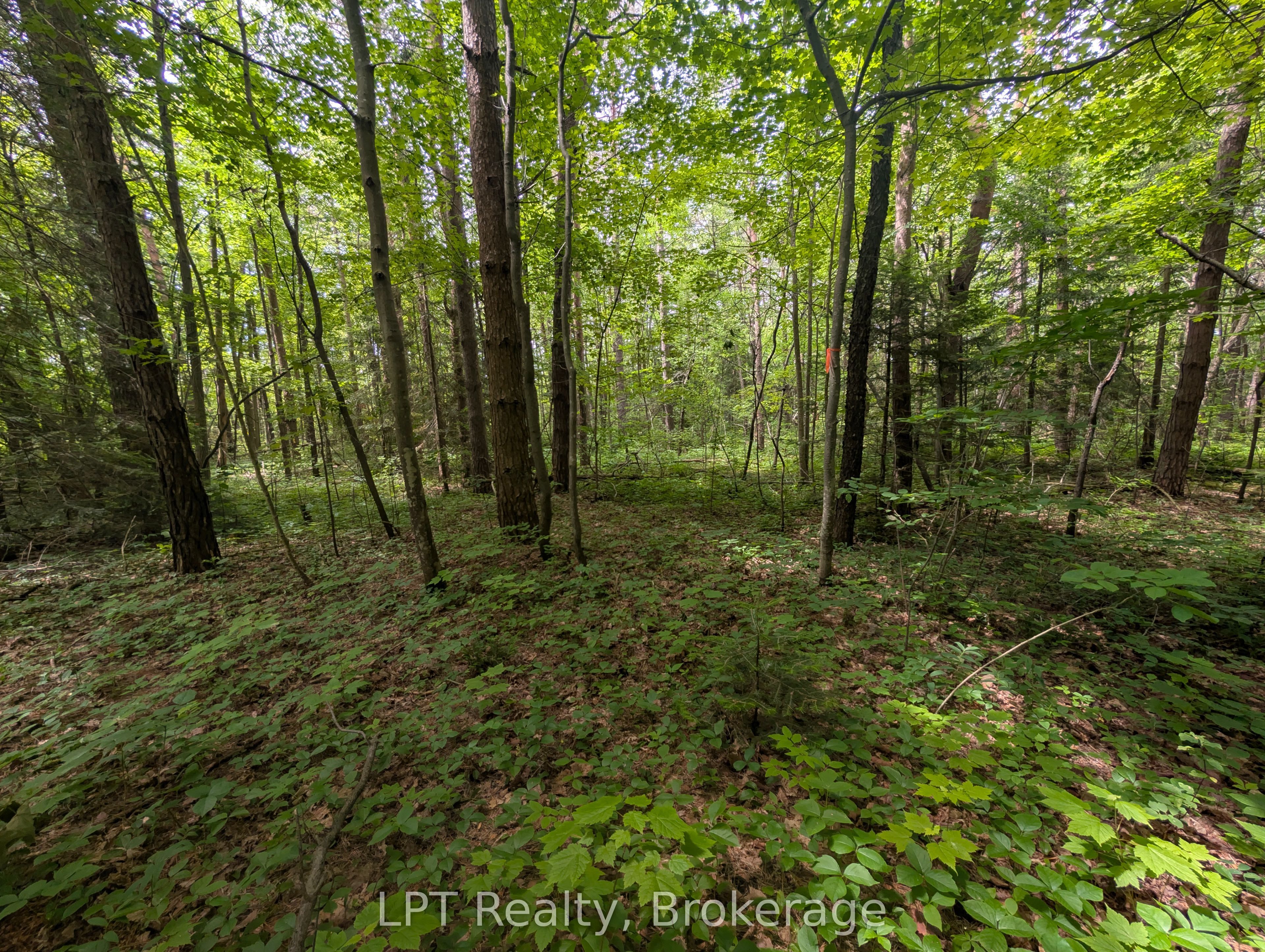 590-608 Huron Road Property Photo 16