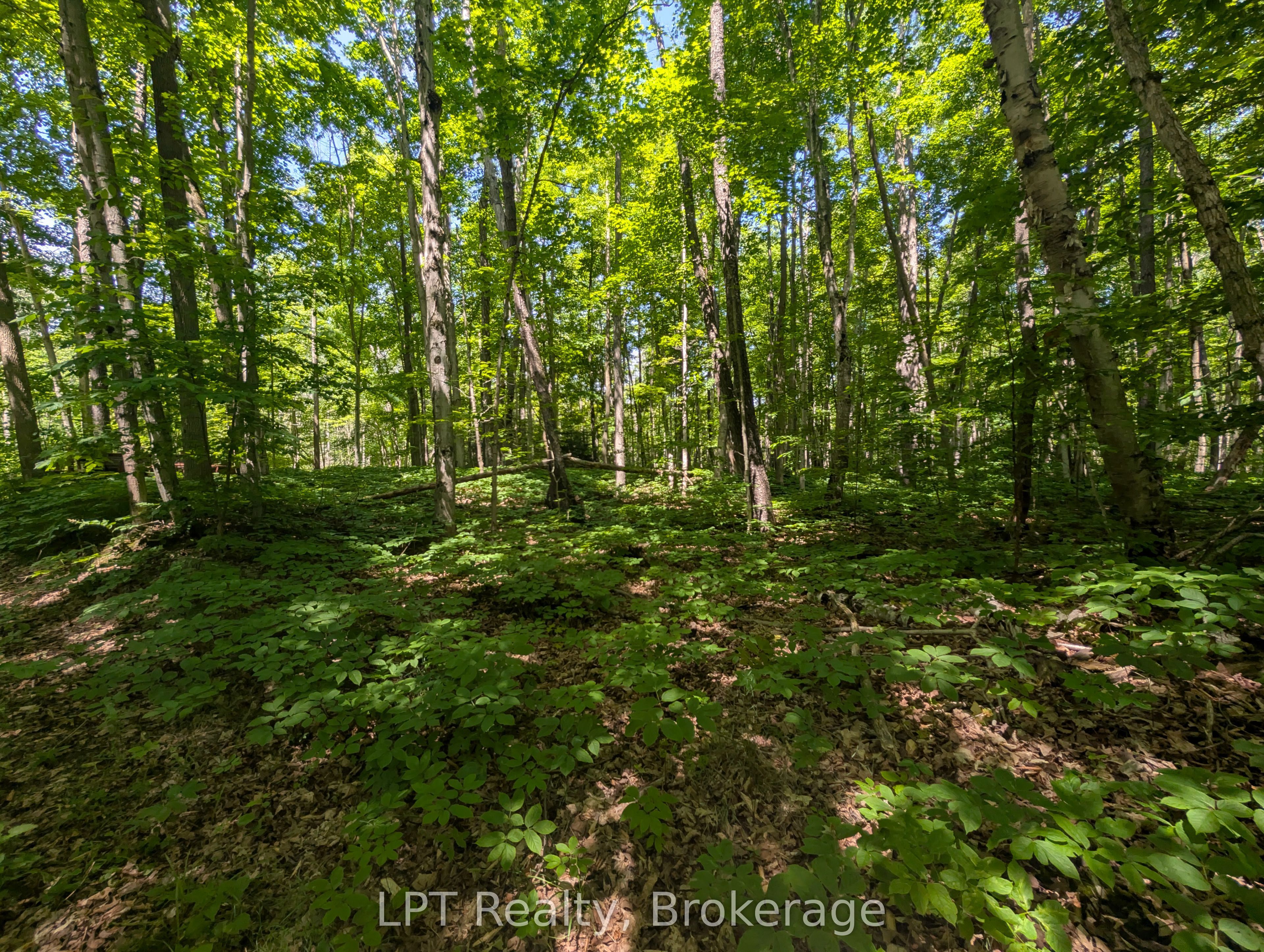 590-608 Huron Road Property Photo 17