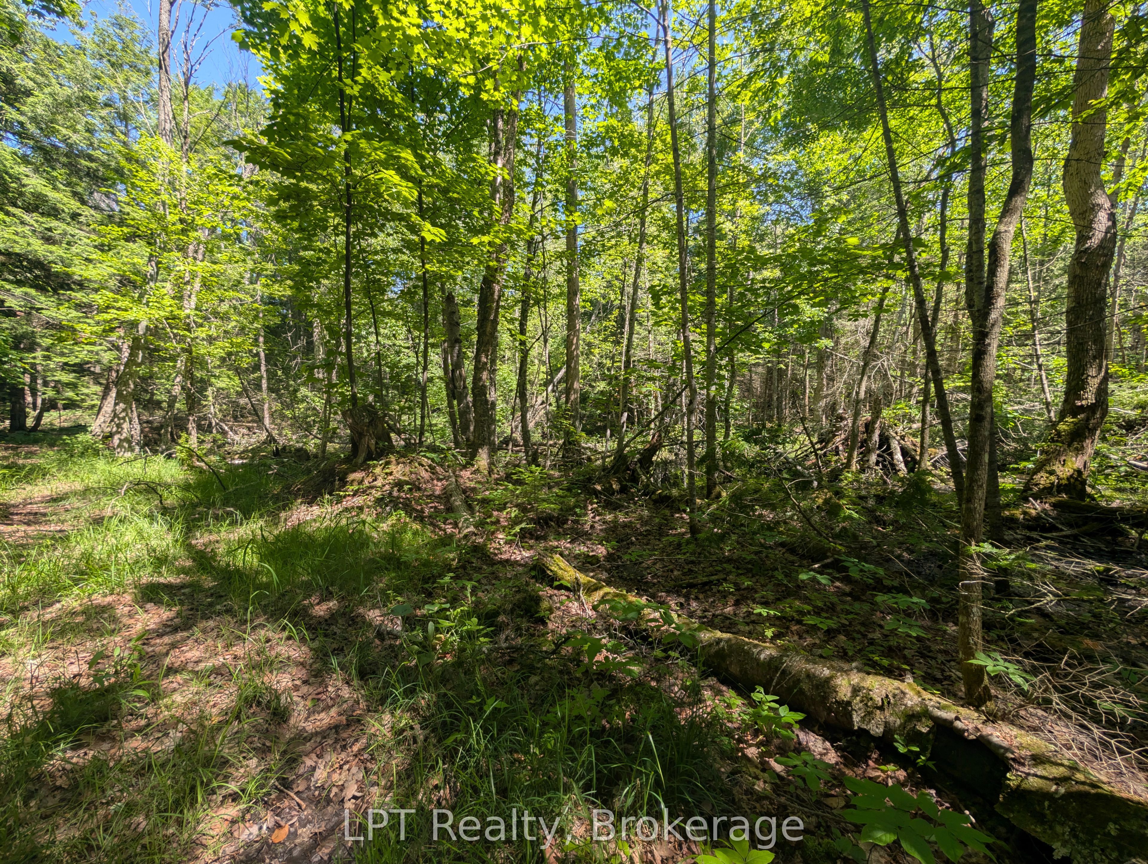 590-608 Huron Road Property Photo 20