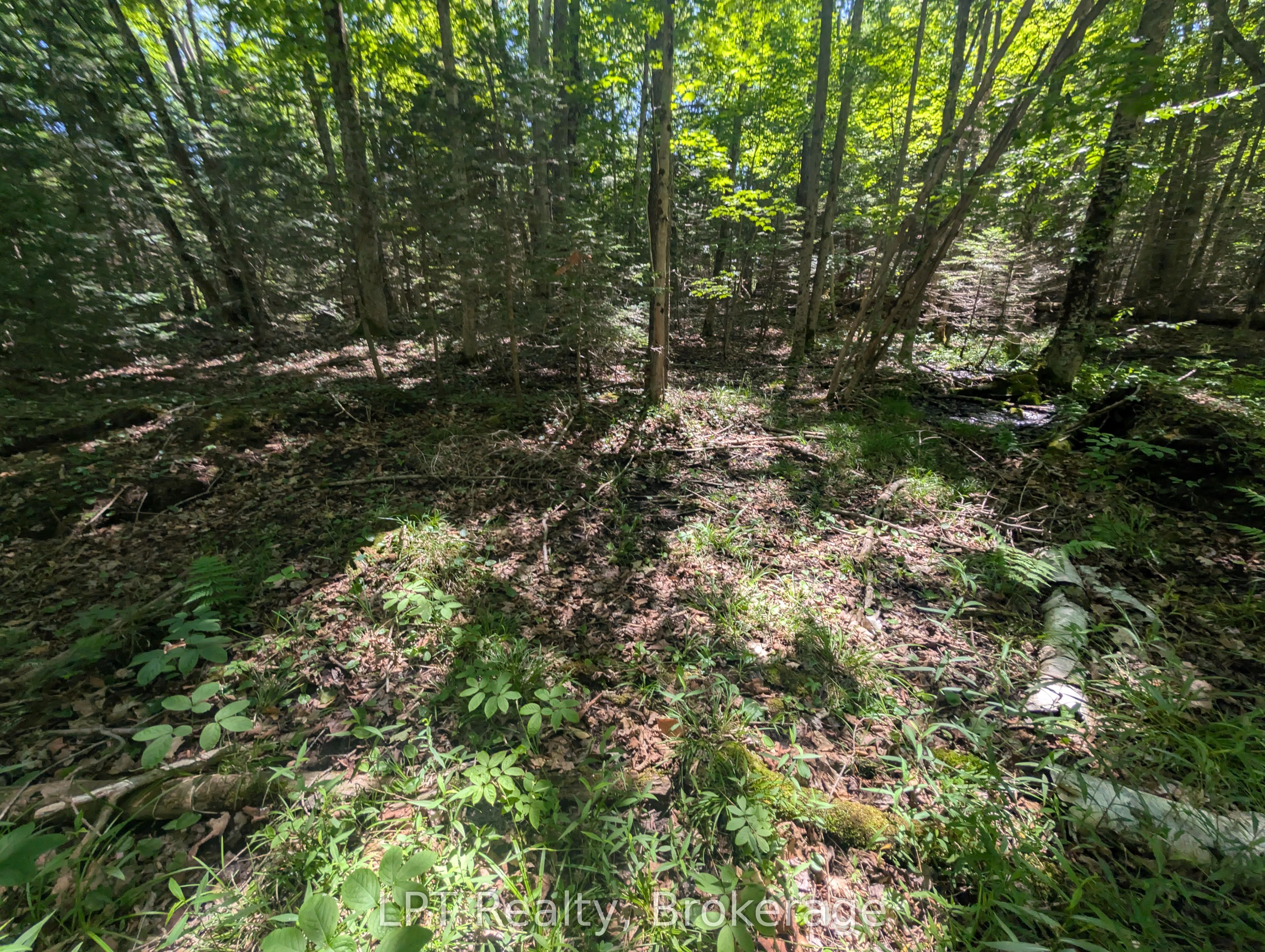 590-608 Huron Road Property Photo 26