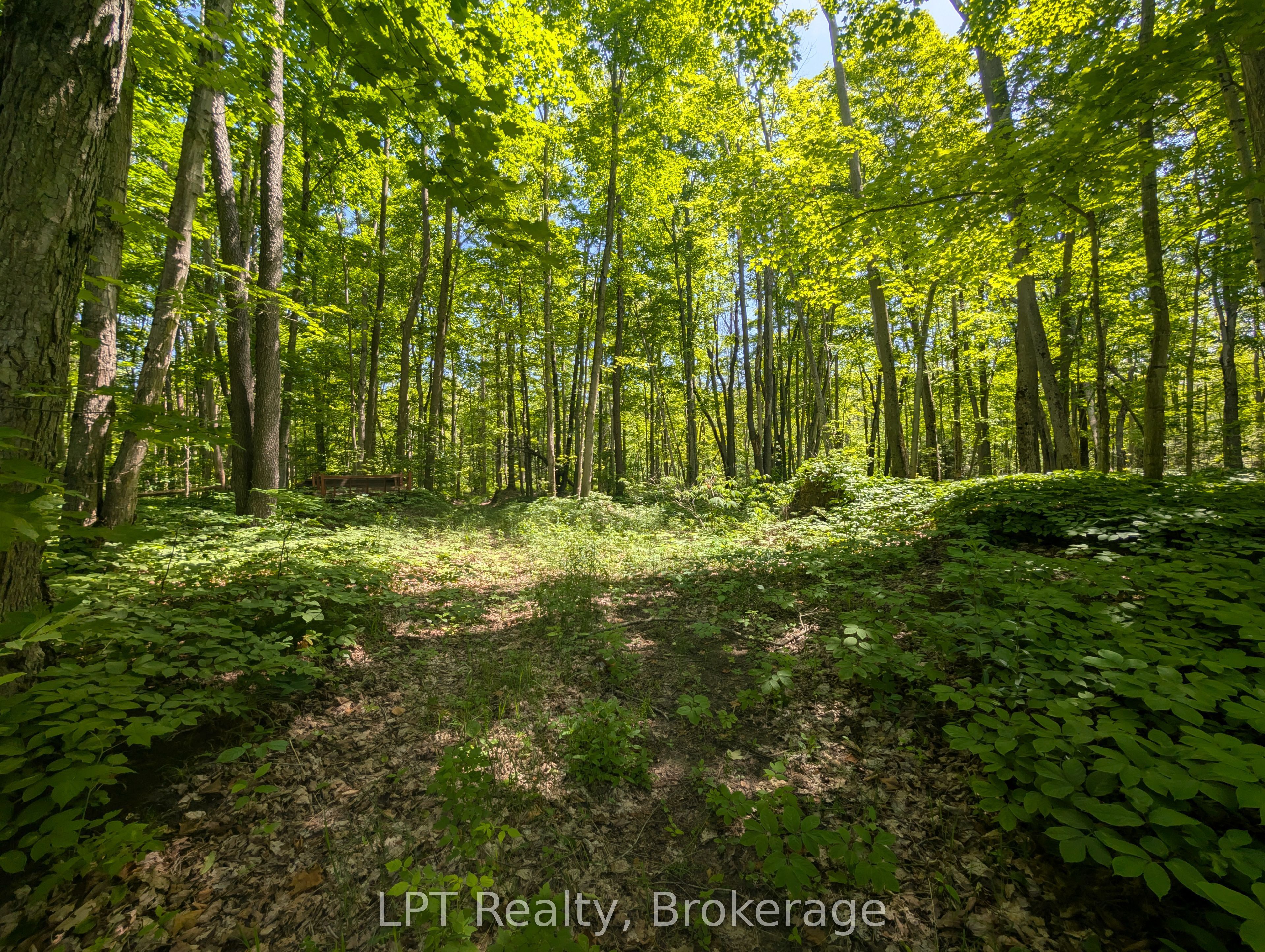 590-608 Huron Road Property Photo 33