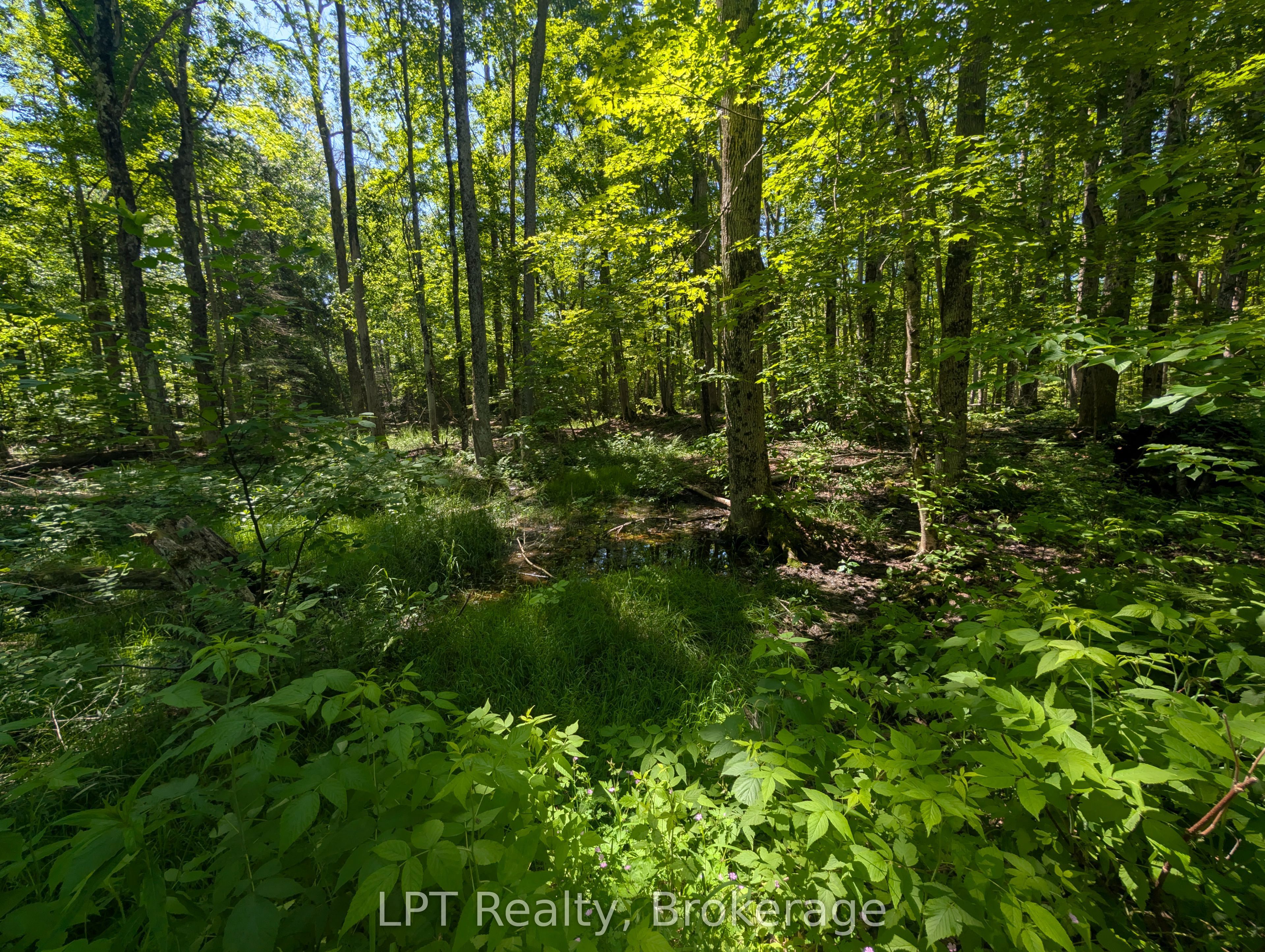 590-608 Huron Road Property Photo 35