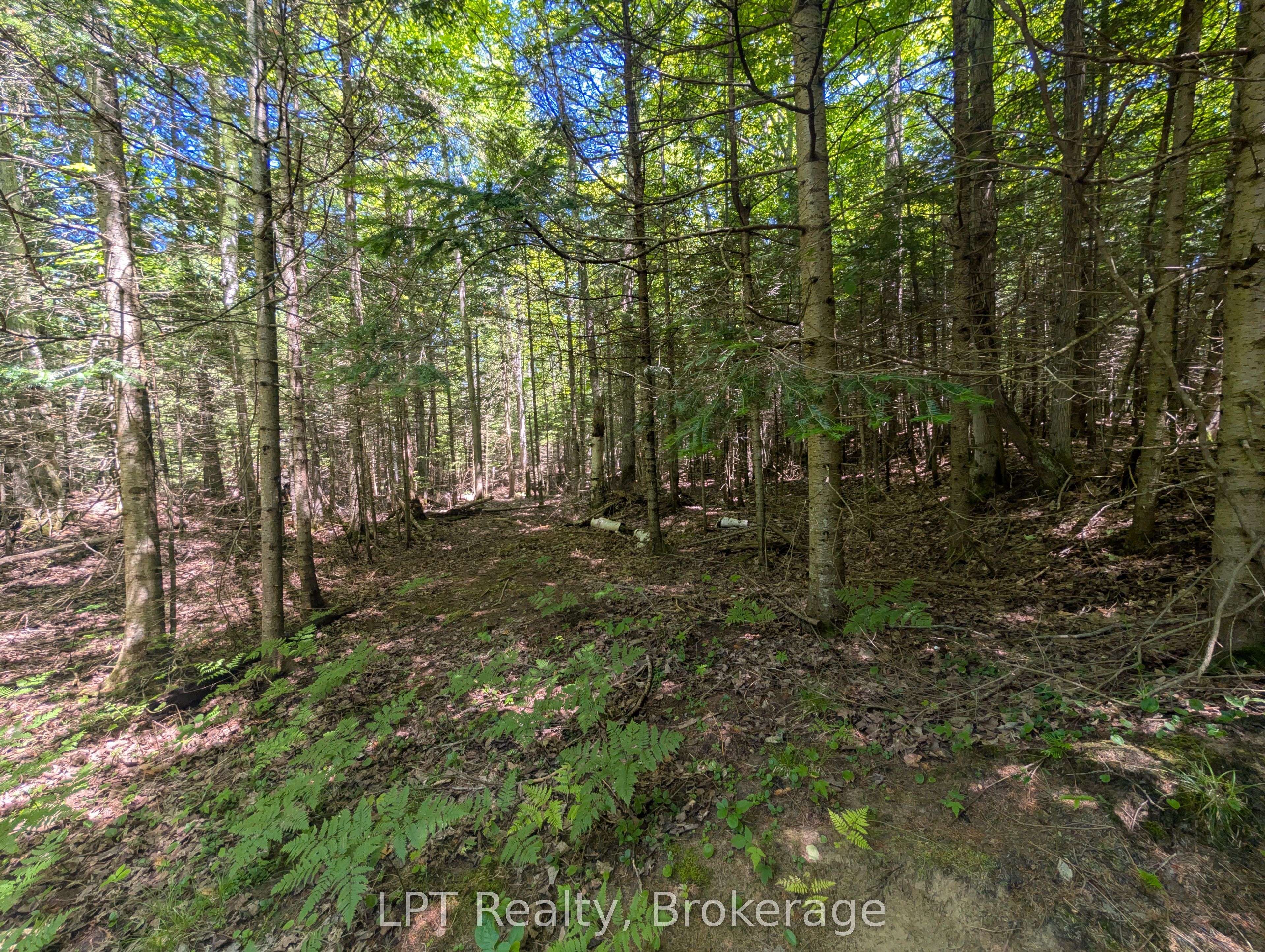 590-608 Huron Road Property Photo 41