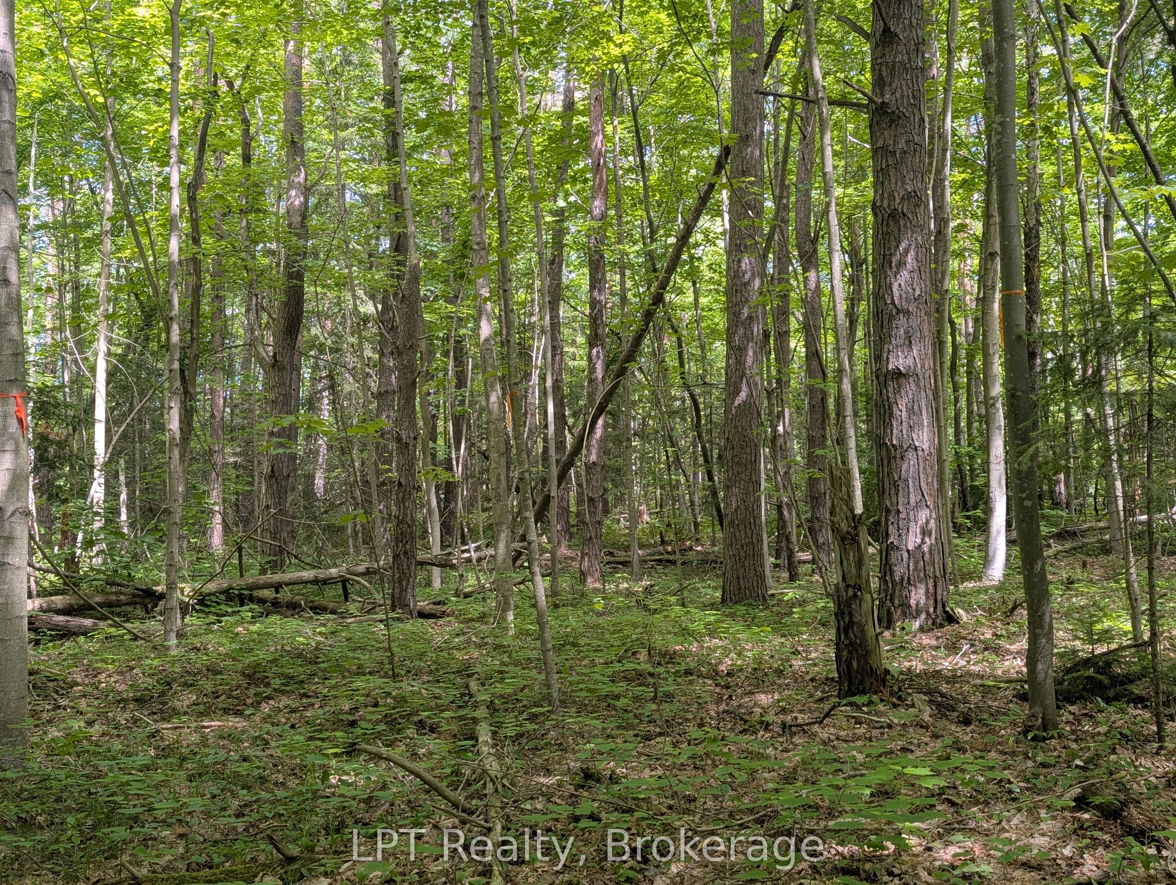 590-608 Huron Road Property Photo 45