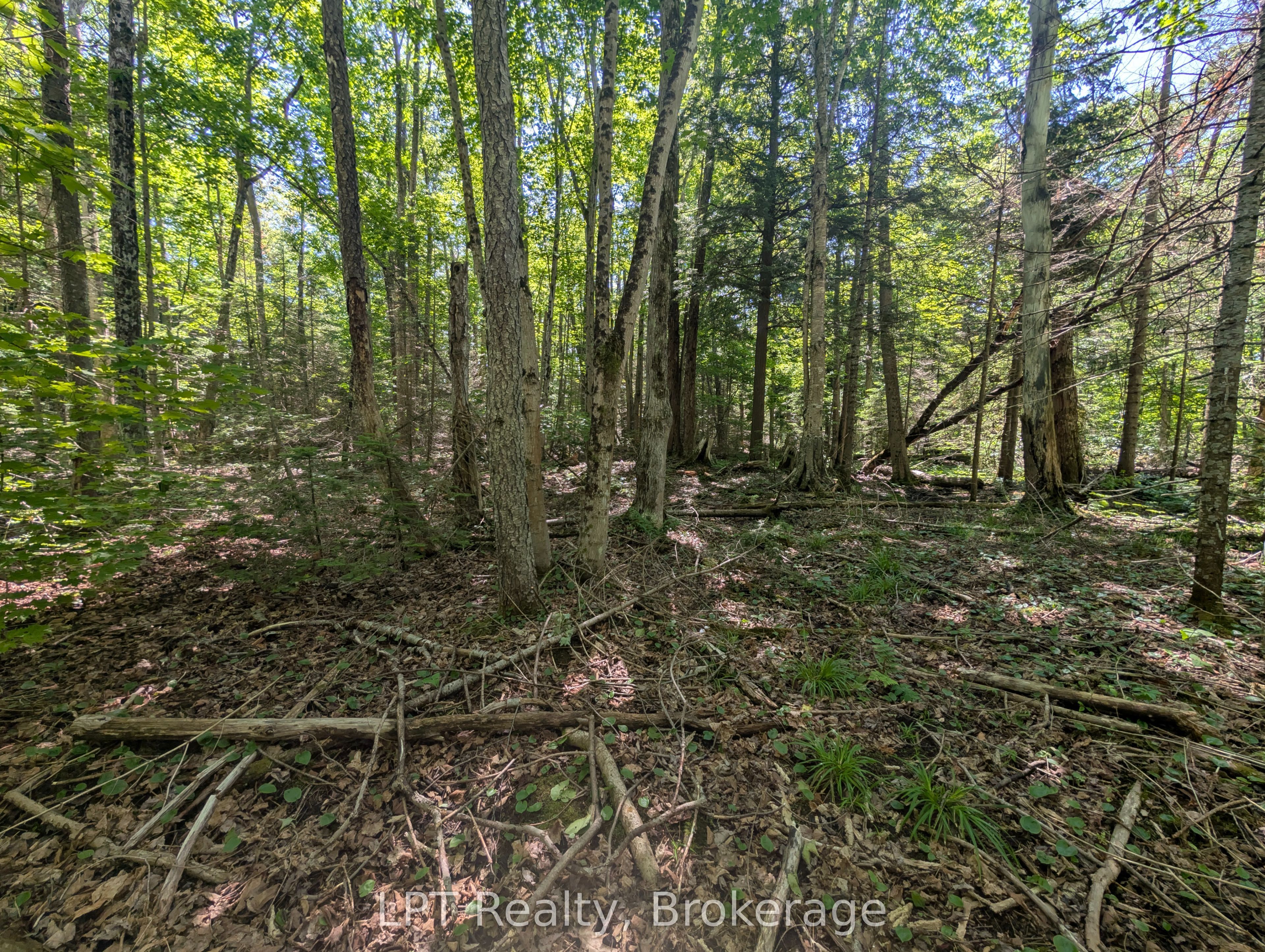 590-608 Huron Road Property Photo 46