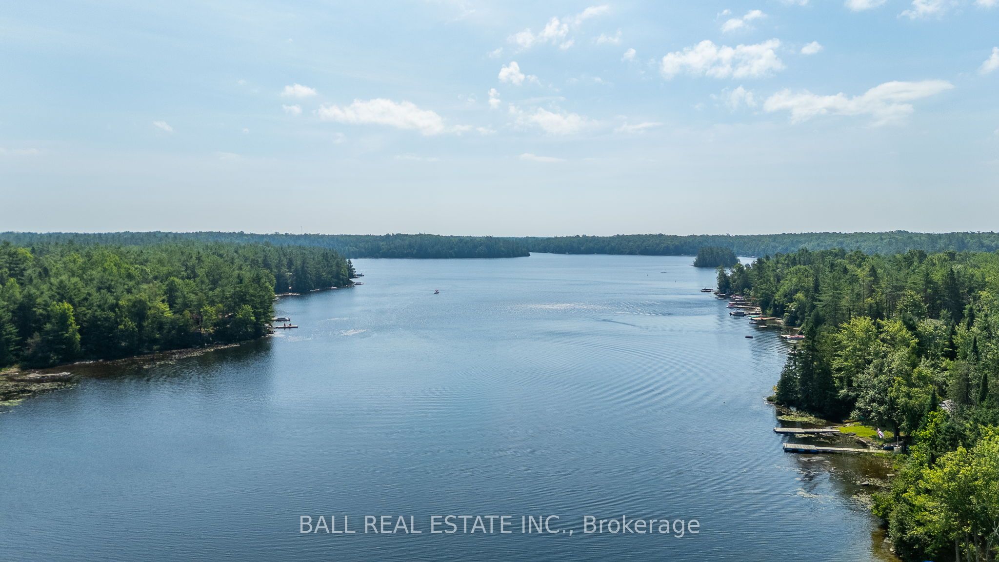 1017 Ewles Drive Property Photo 4