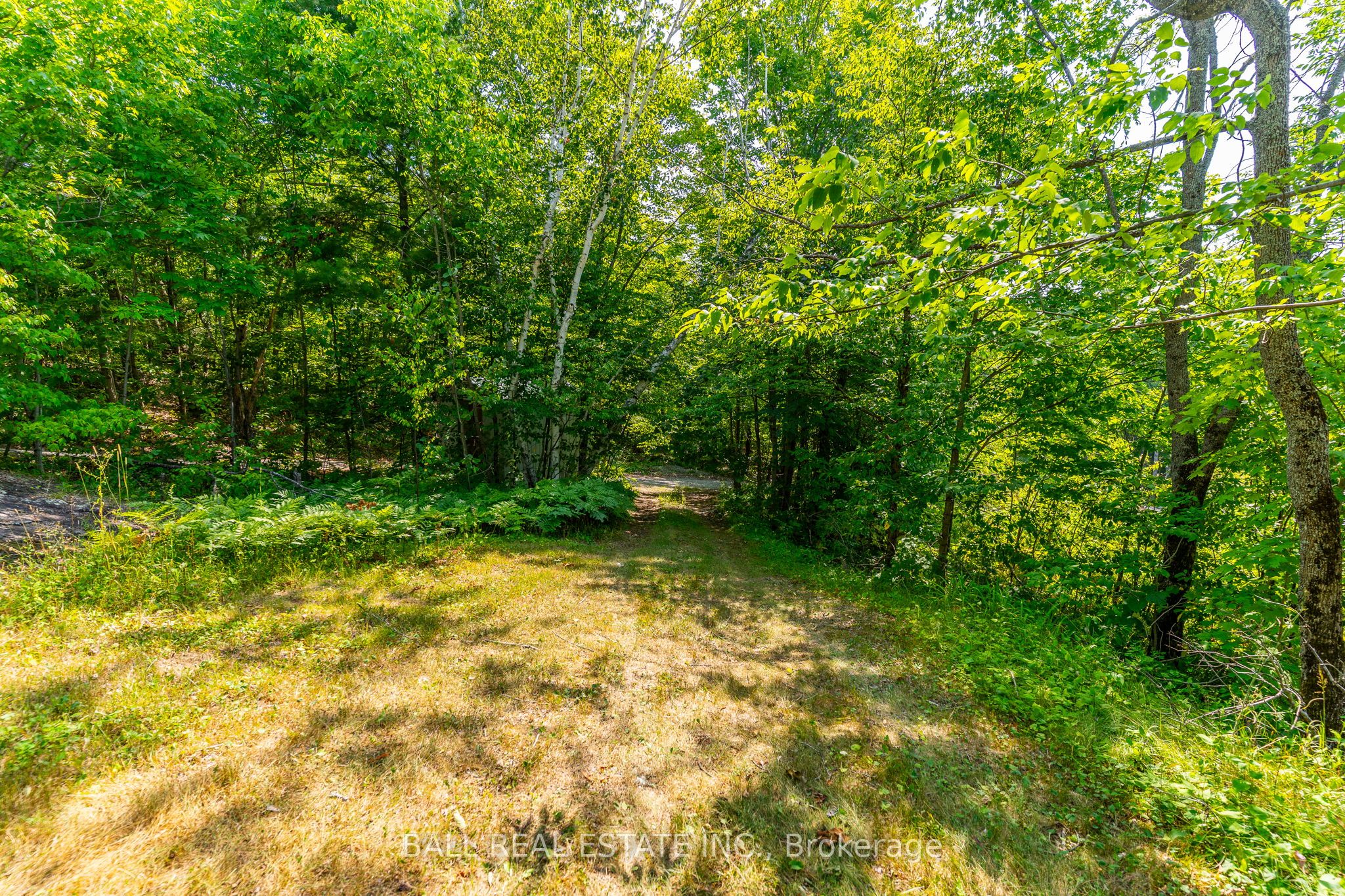 1017 Ewles Drive Property Photo 27
