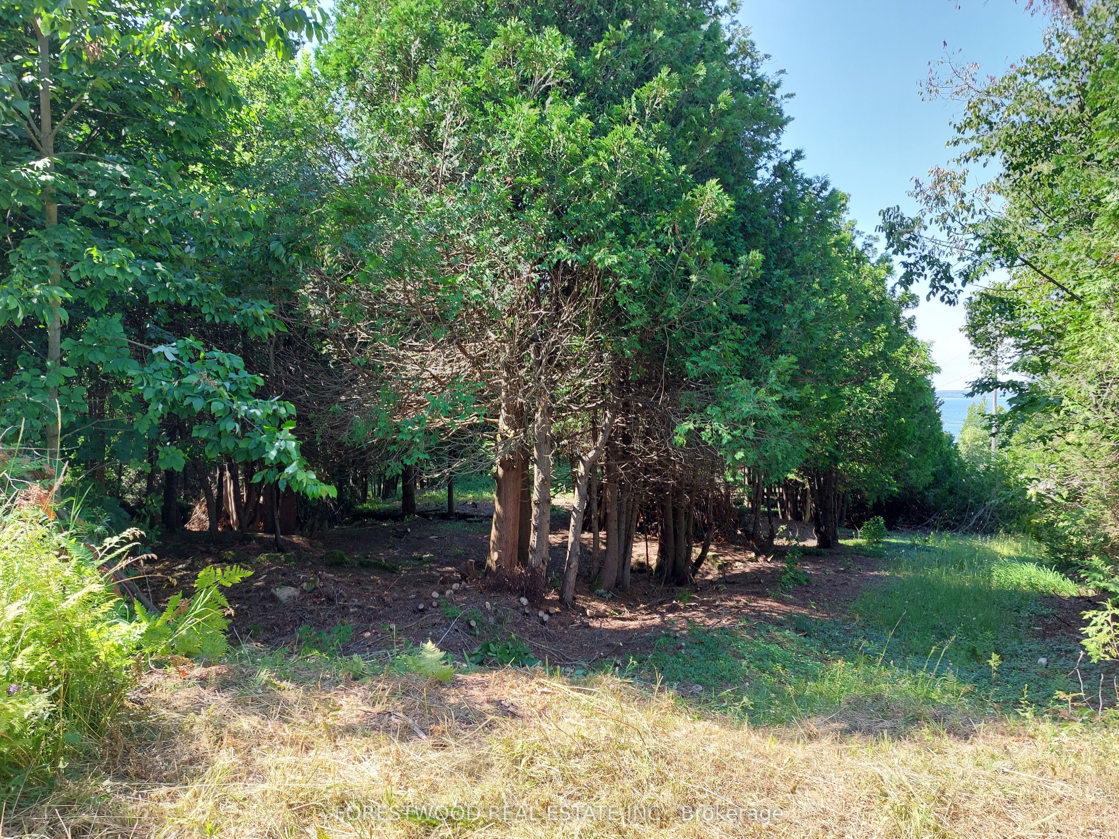 Con 5 Ebr Pt Lot 30 E Property Photo 2