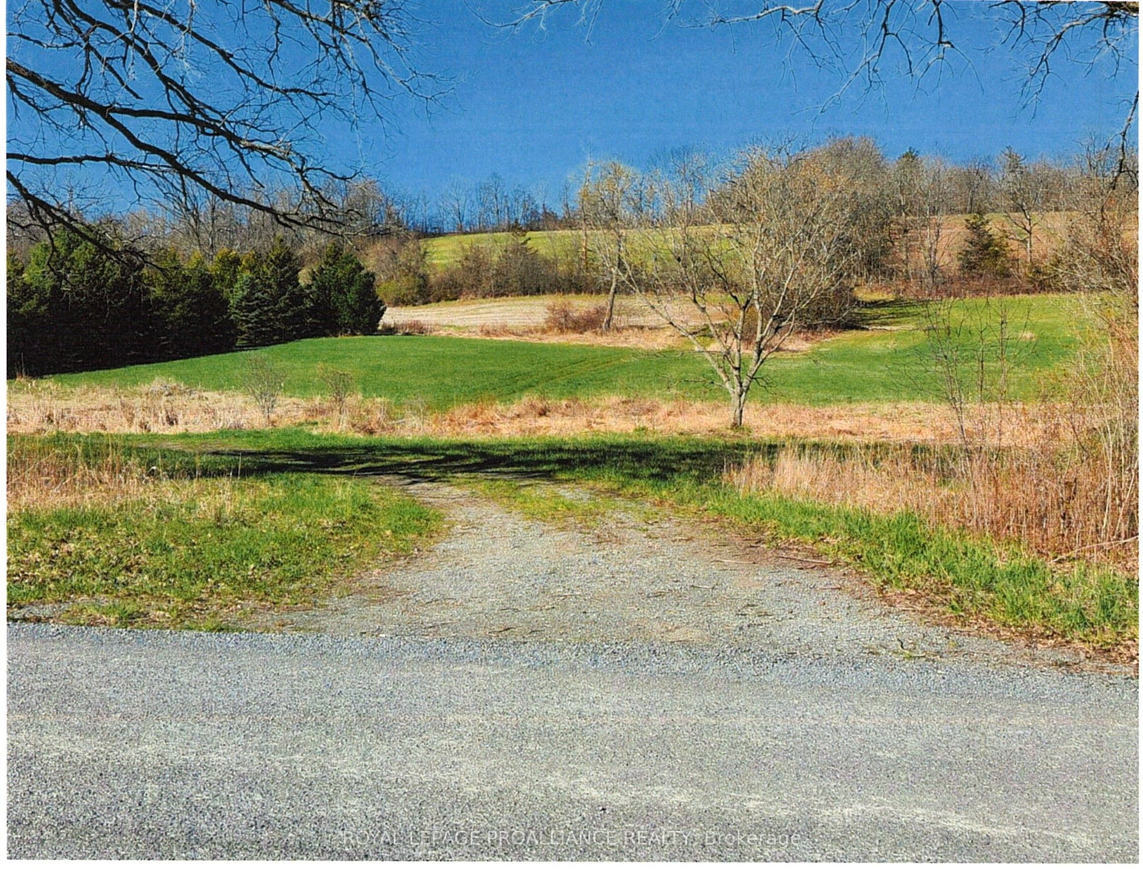 0 Crowe Road Property Photo 1