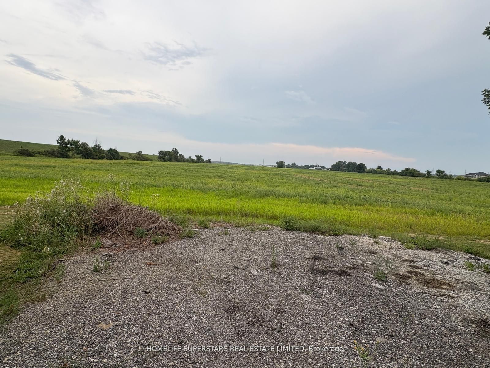 241 County Rd 42 Property Photo 4