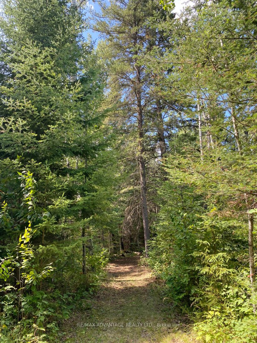 4650 Hwy 11/17 Property Photo 19