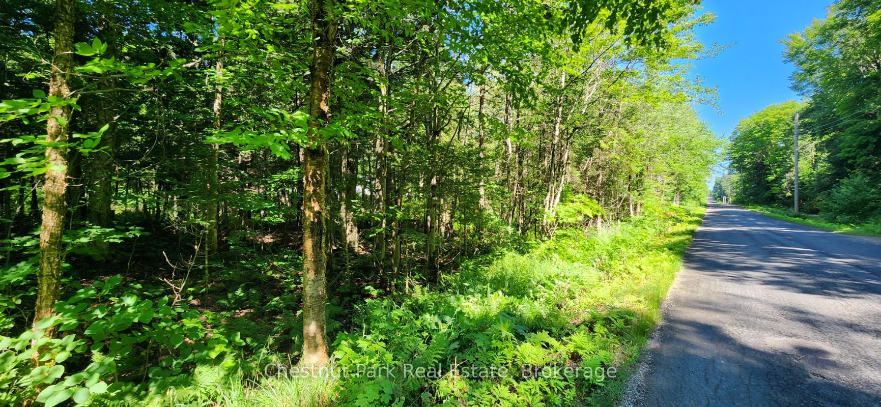 0 Skyline Drive Property Photo 3