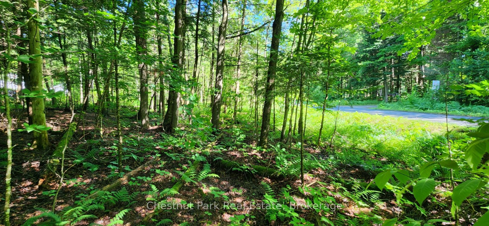 0 Skyline Drive Property Photo 4