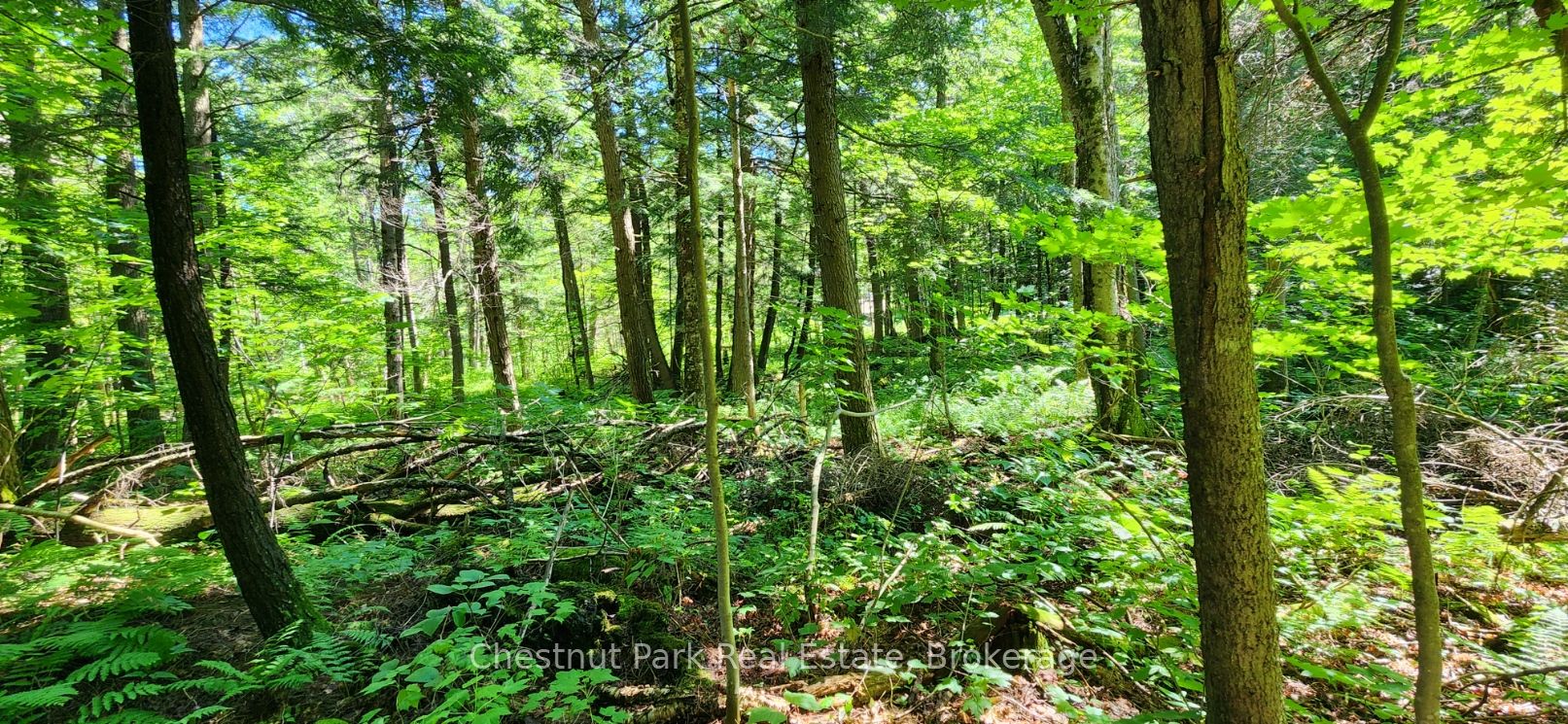 0 Skyline Drive Property Photo 6