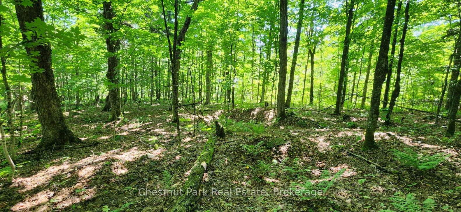 0 Skyline Drive Property Photo 7