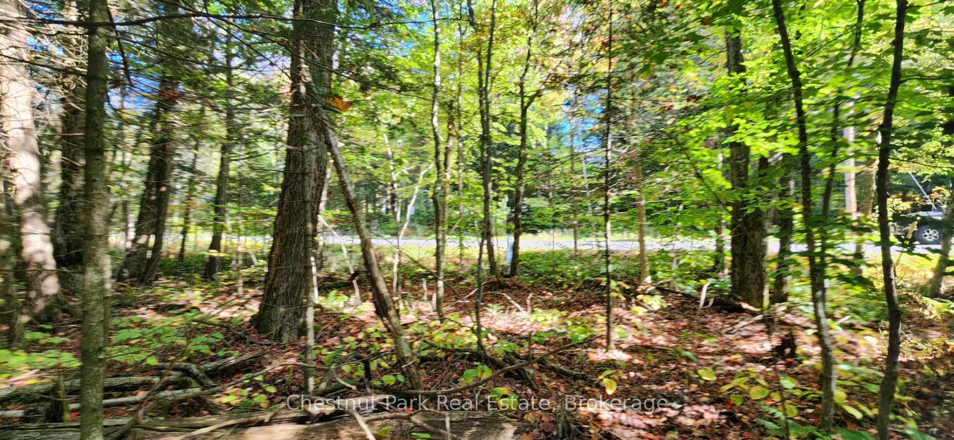 0 Skyline Drive Property Photo 8